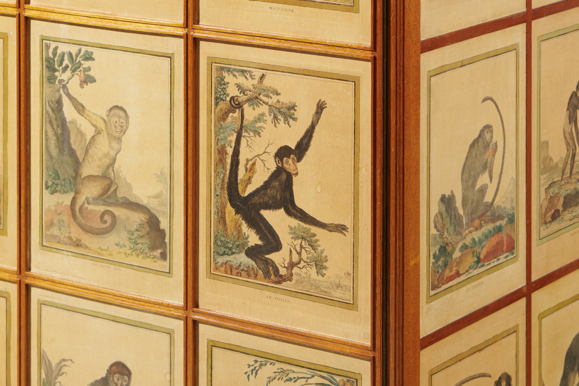'Monkey' Cabinet image 7