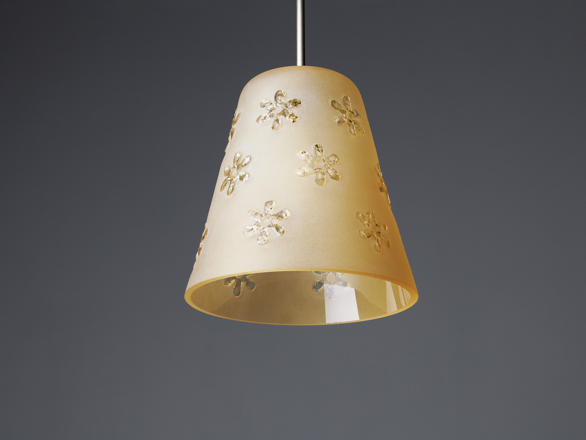 Ceiling Lamp image 3