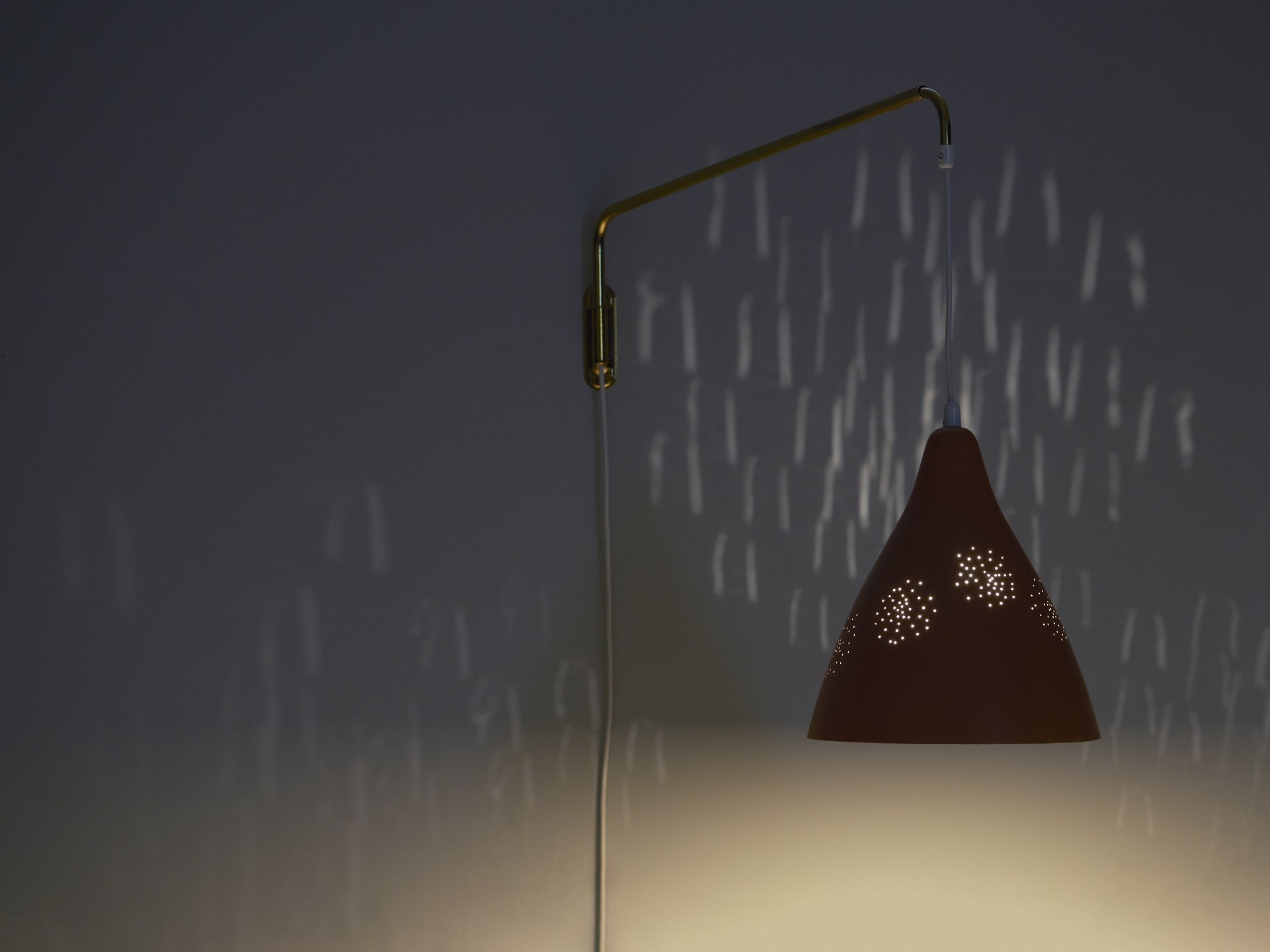 Adjustable Wall Light image 4