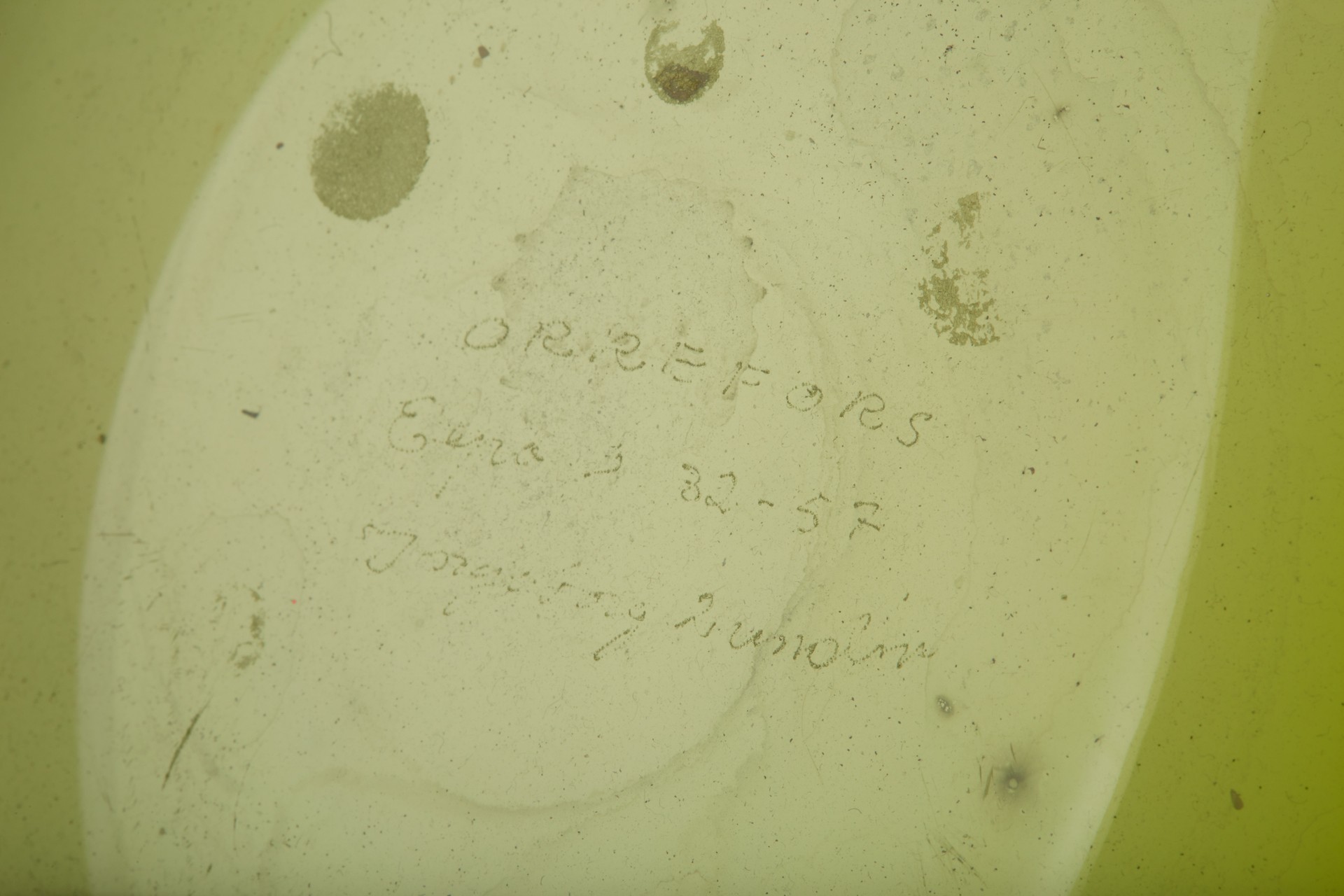 'Apple' Vase image 4