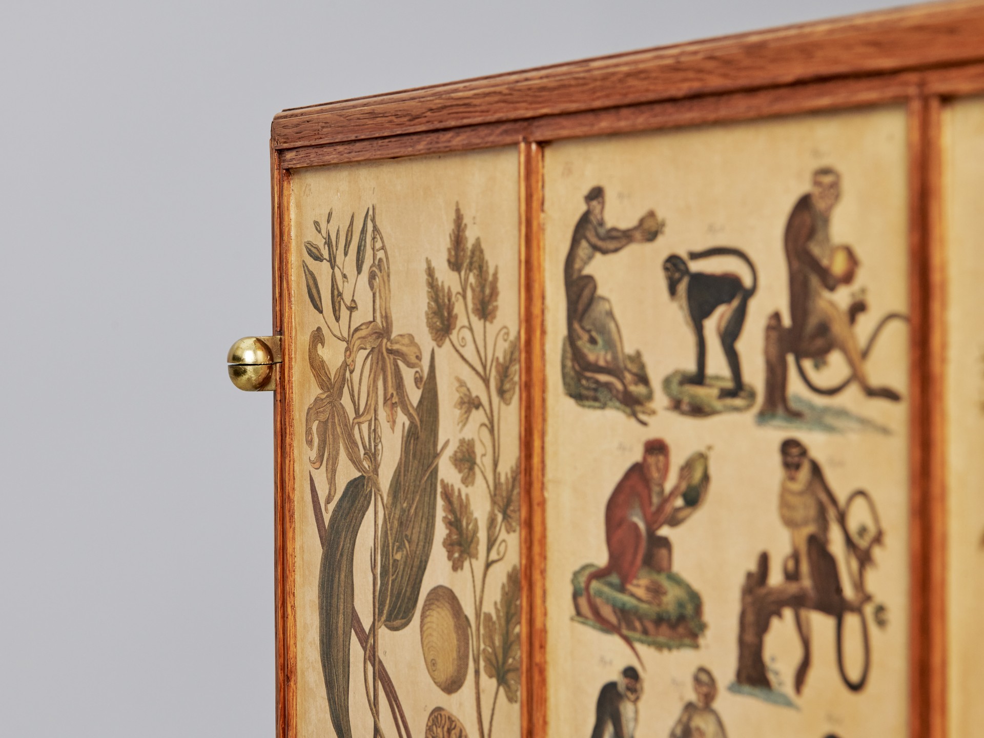 'Animal' Cabinet image 13