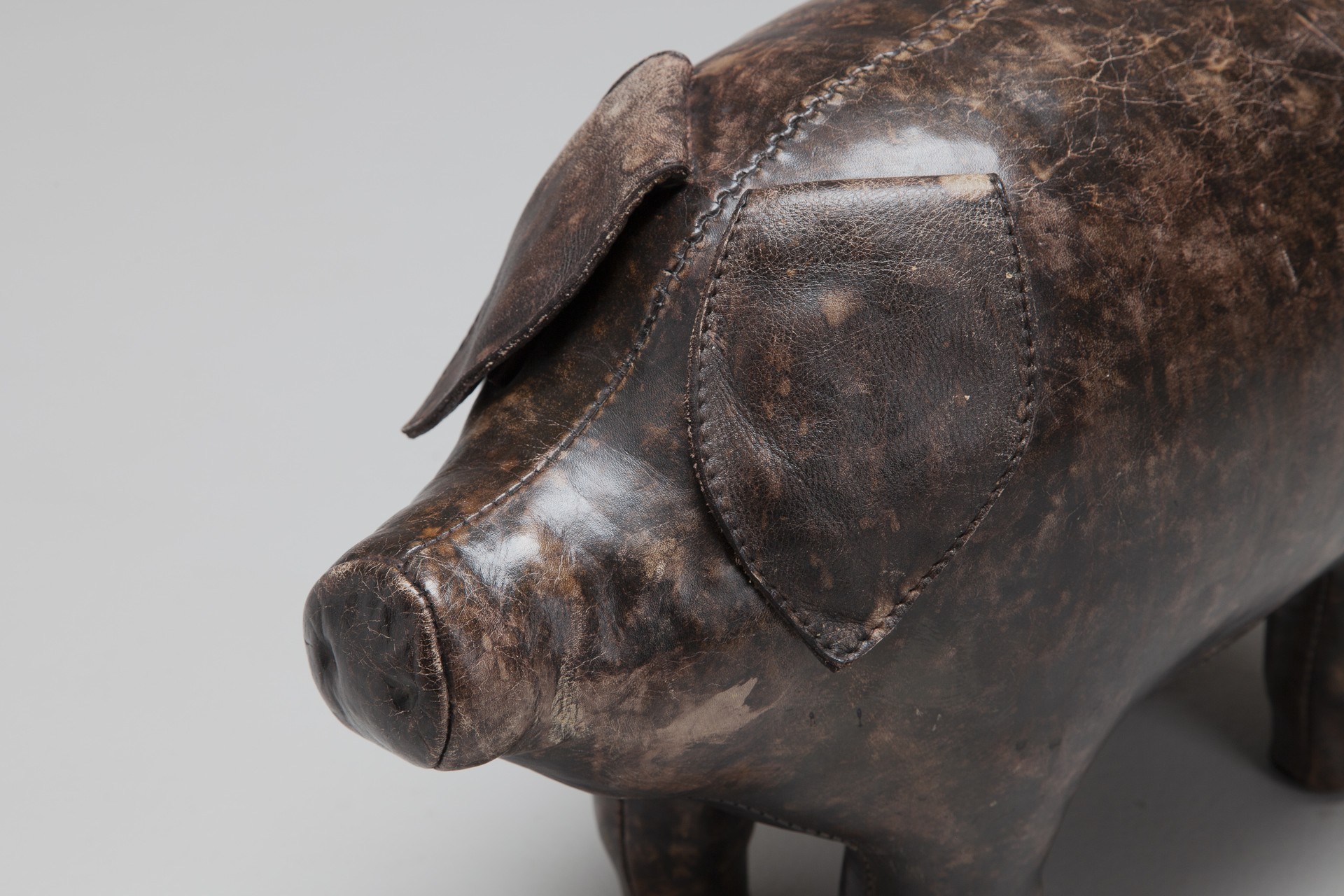 Pig image 5