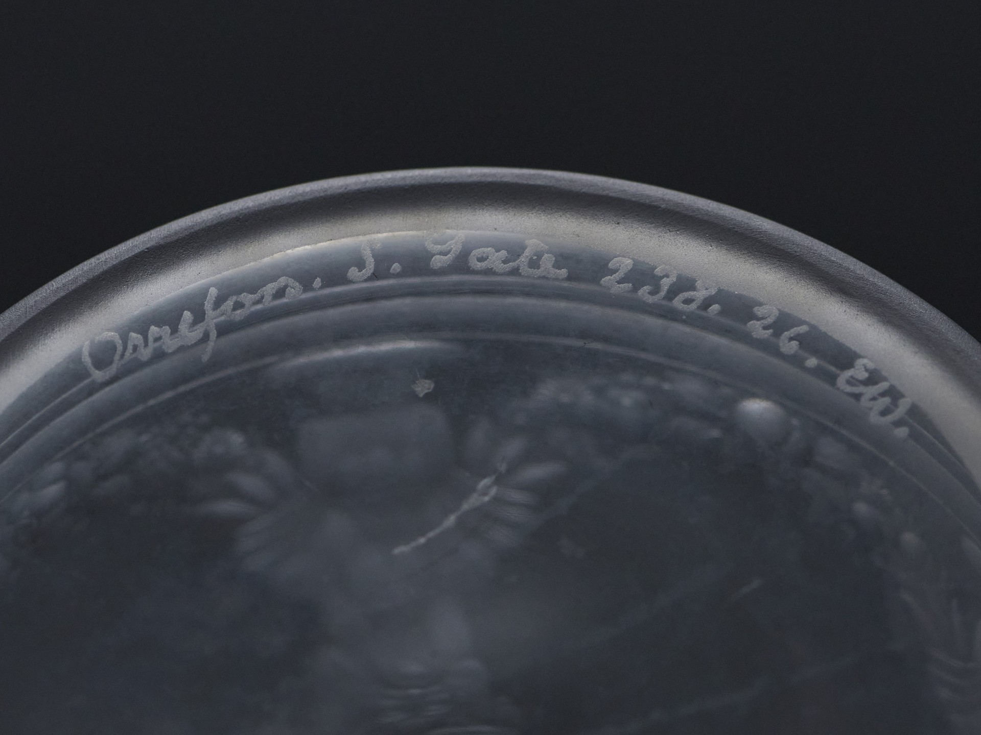 Vase image 8