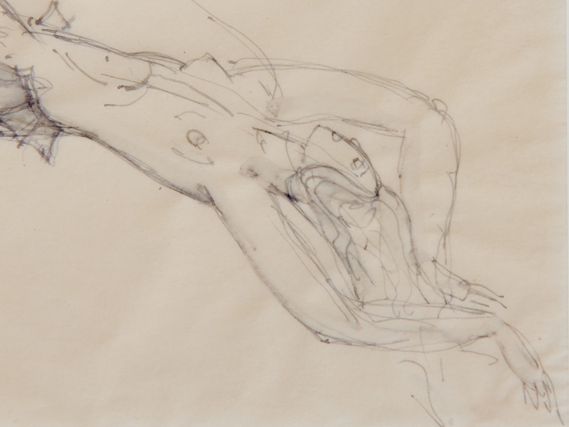 Drawing image 3