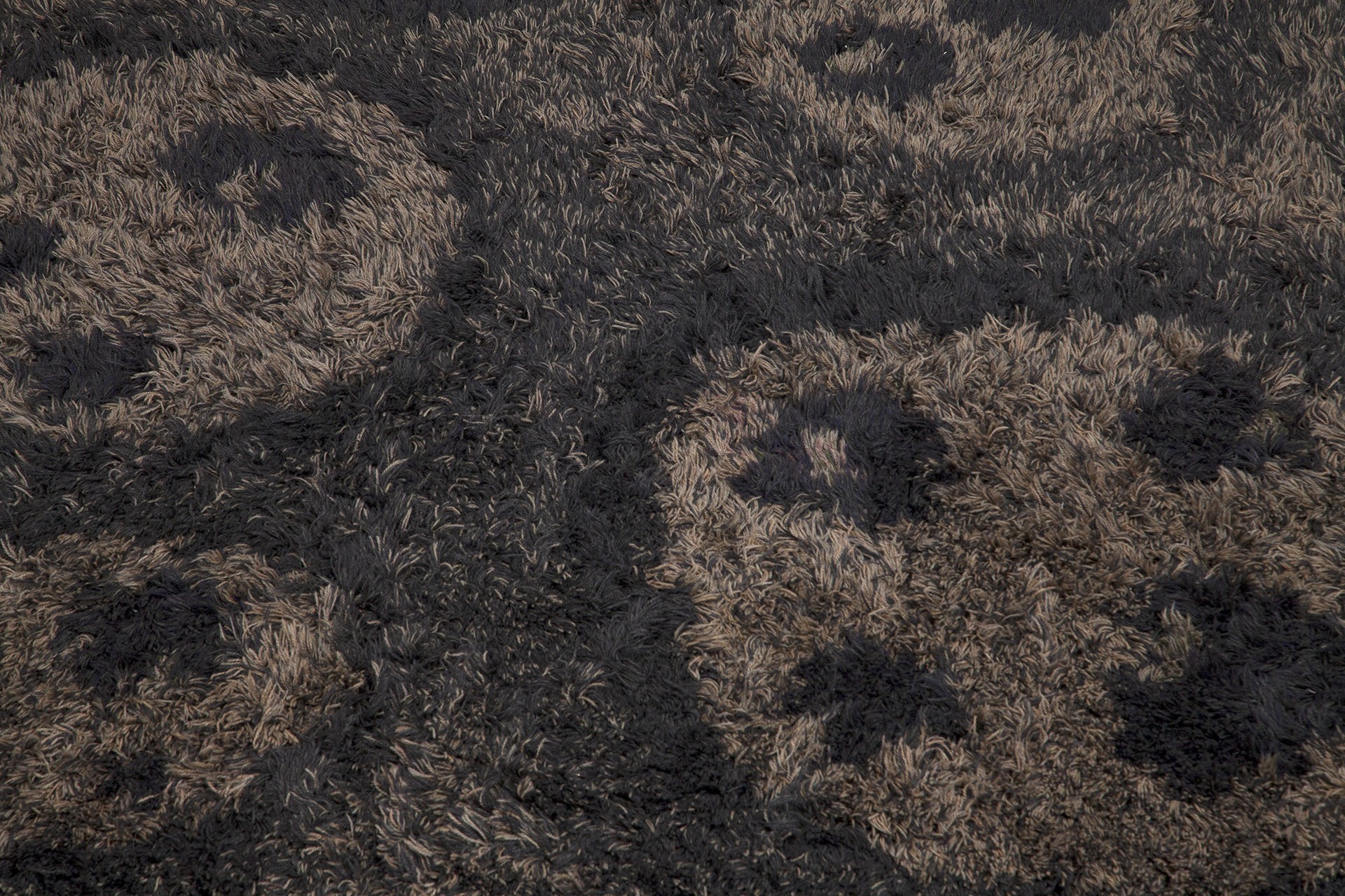 The "Bear Paw" Carpet image 4