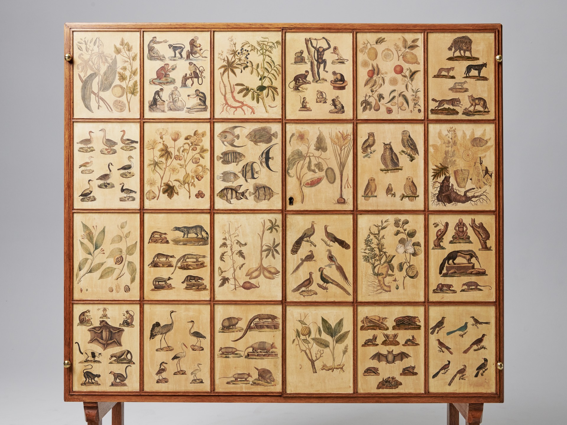 'Animal' Cabinet image 7