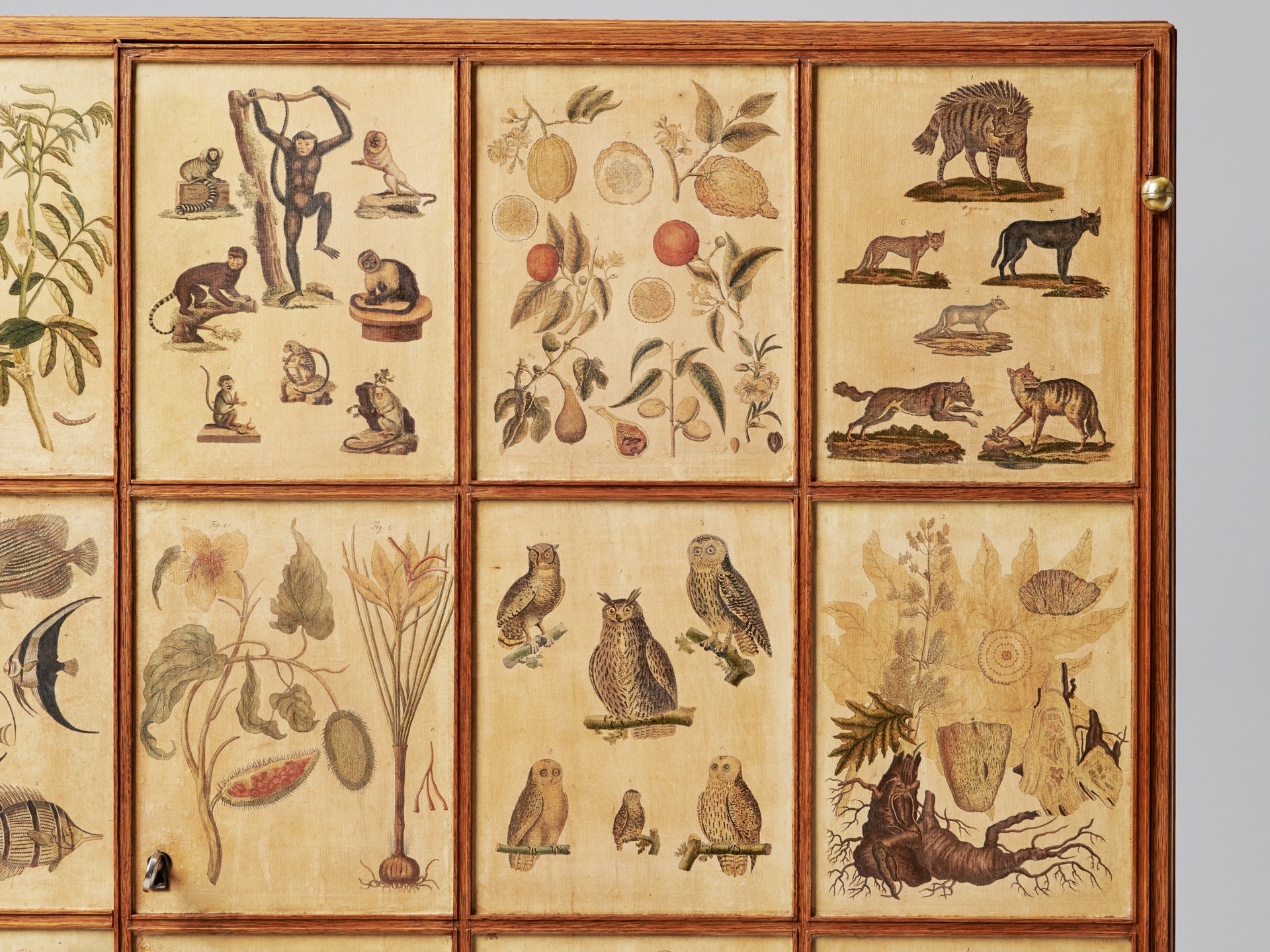 'Animal' Cabinet image 19