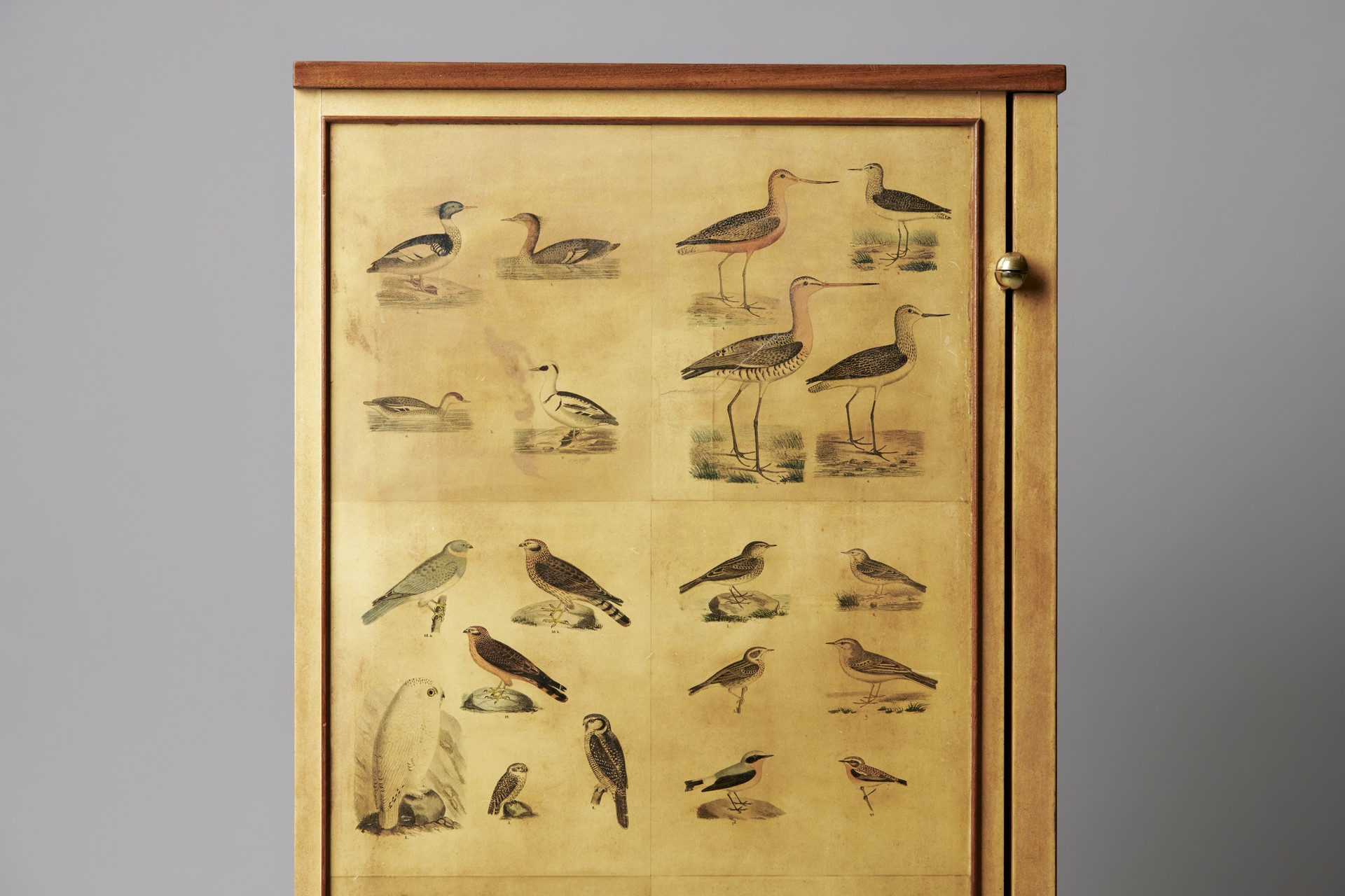 'Bird' Cabinet image 17