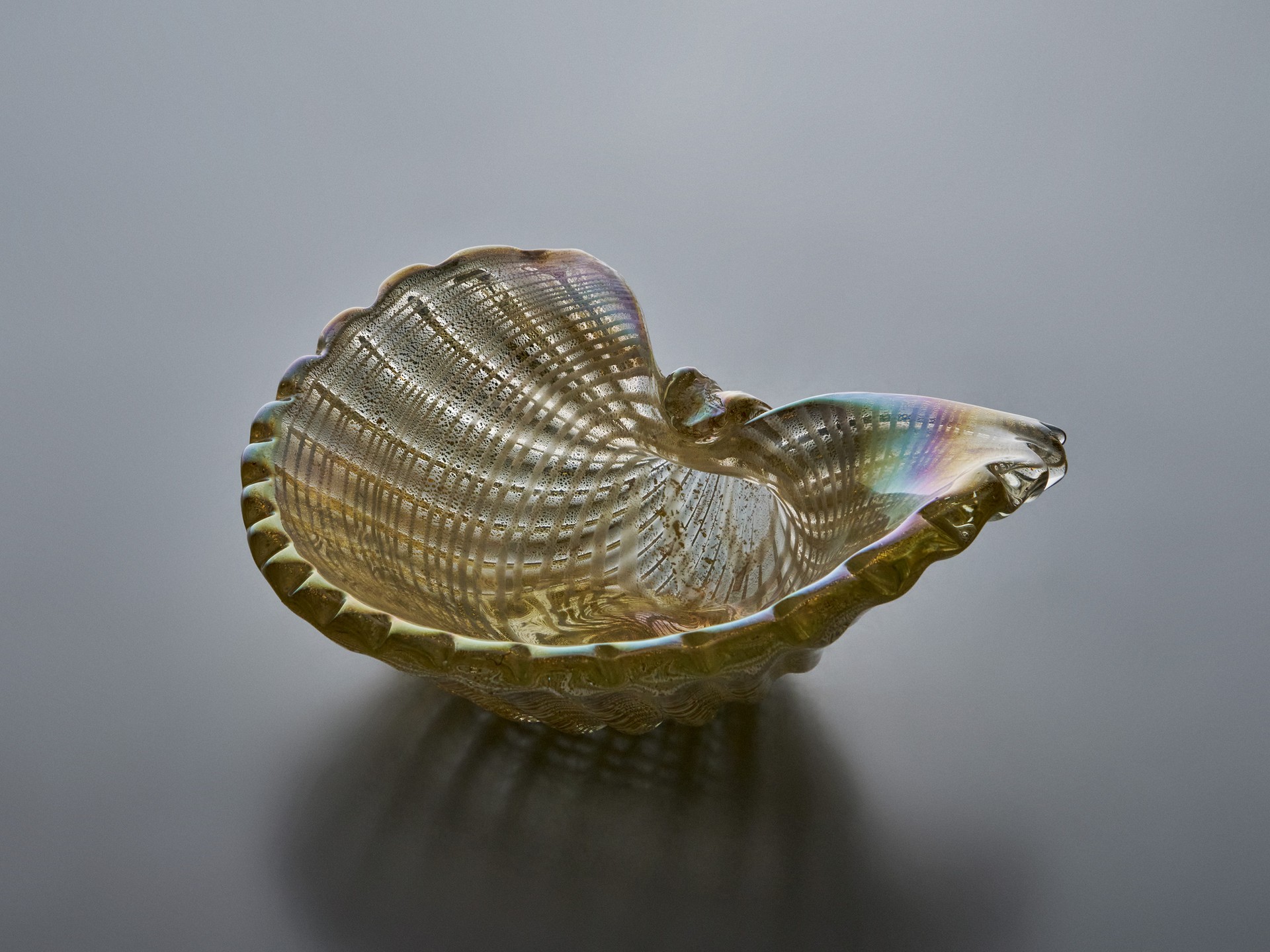 Shell Bowl