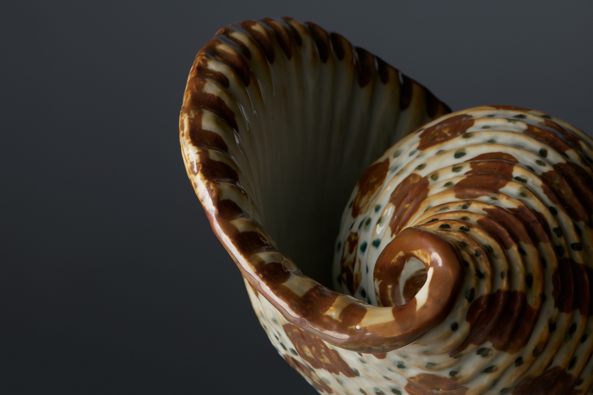 Shell Sculpture image 4