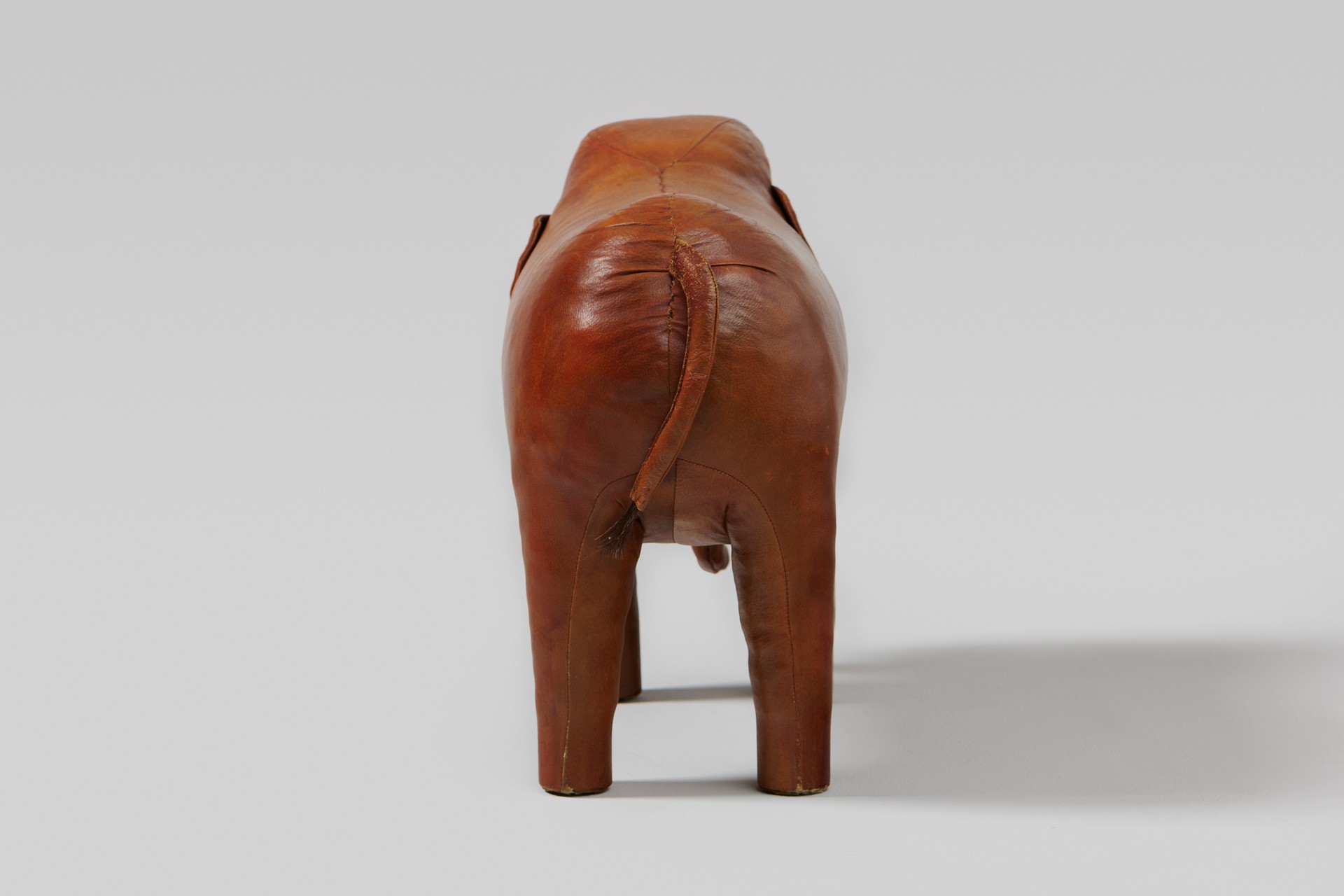 Elephant image 4