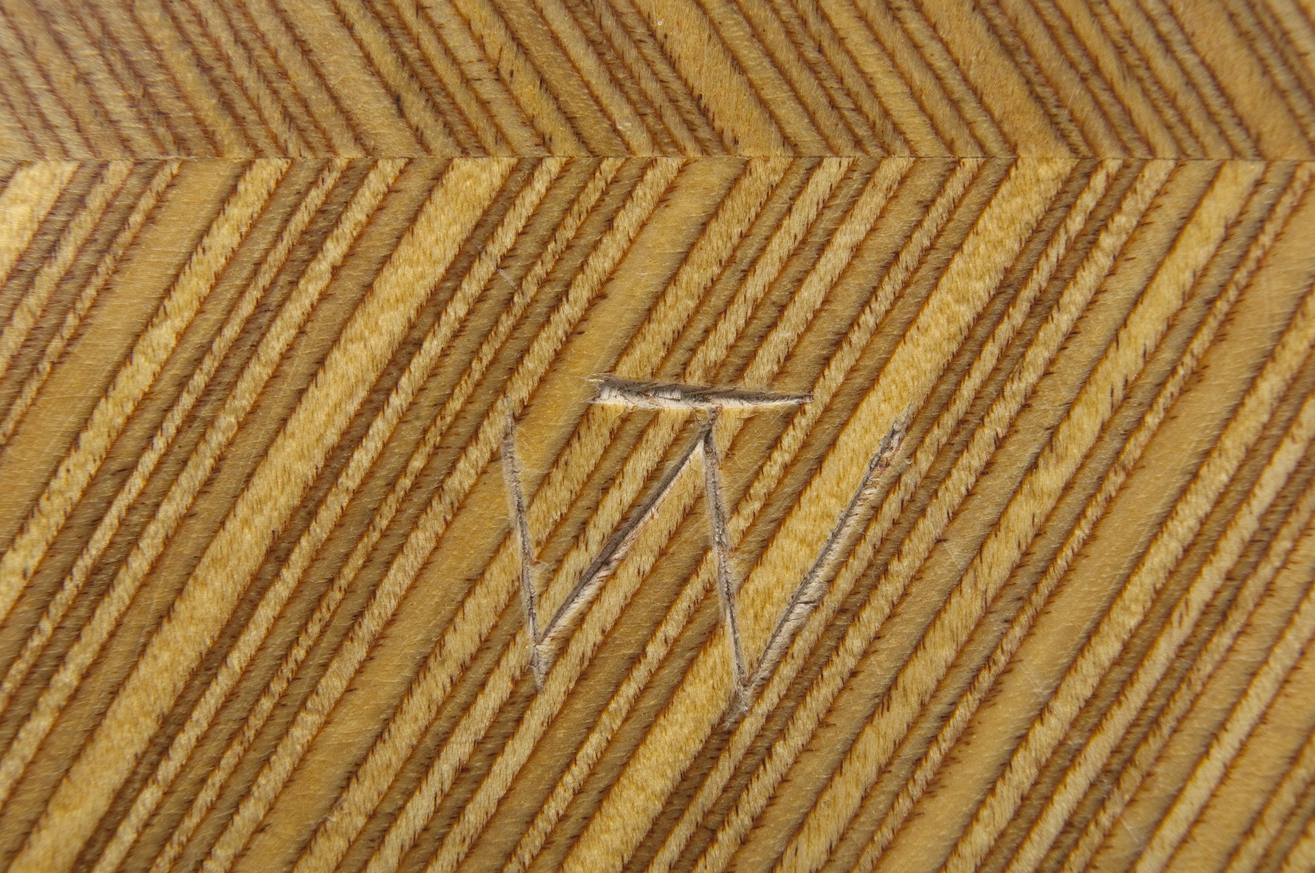 Leaf image 4