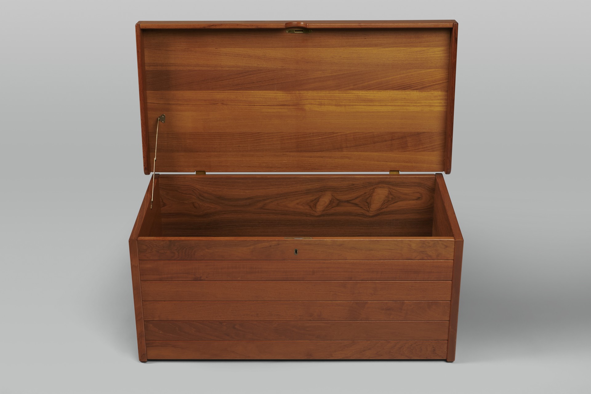 Chest image 2