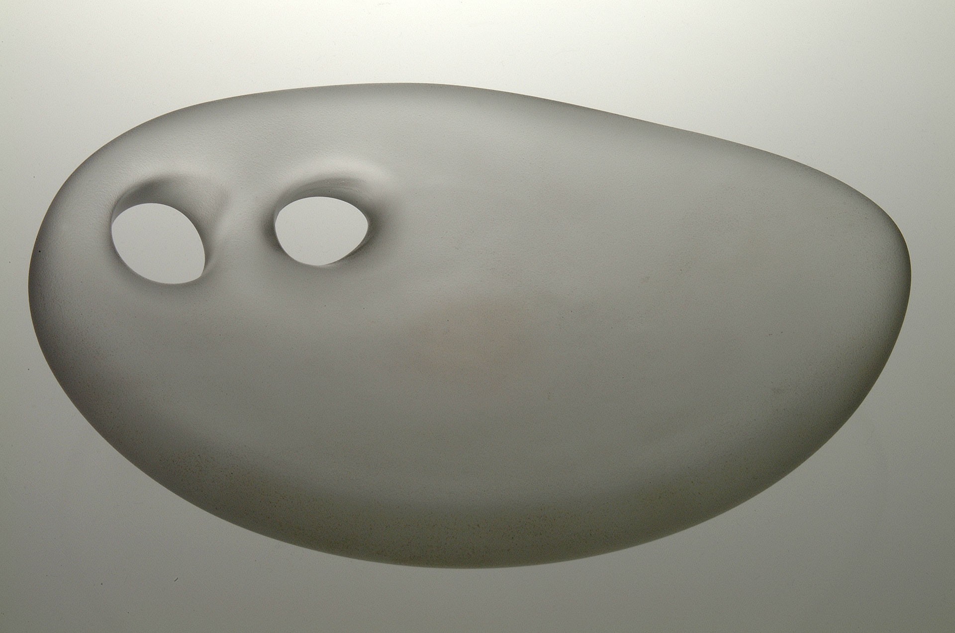 Plate image 2