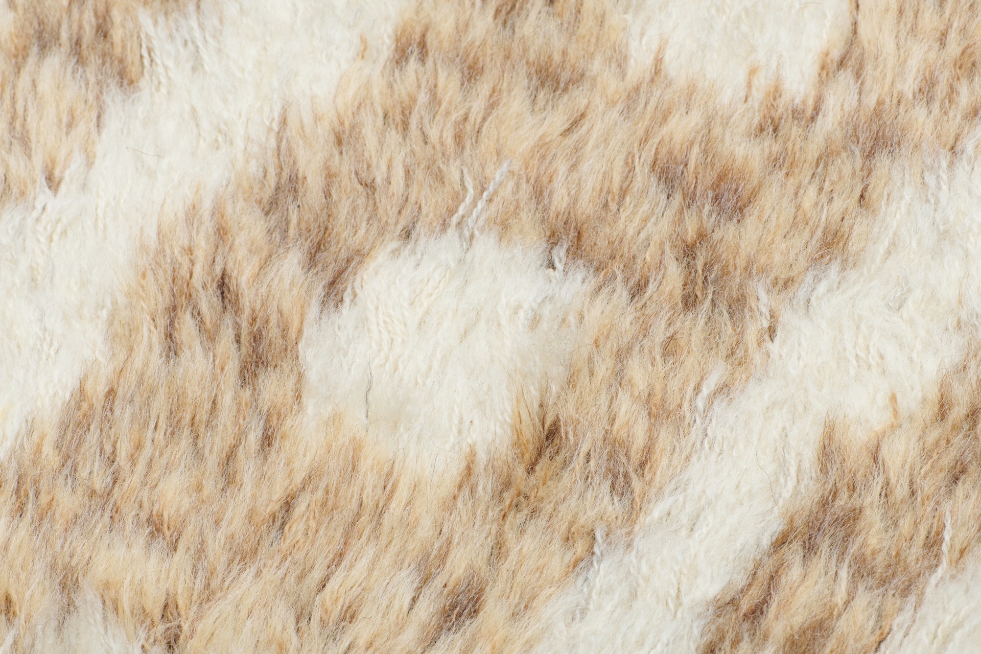 Carpet image 5