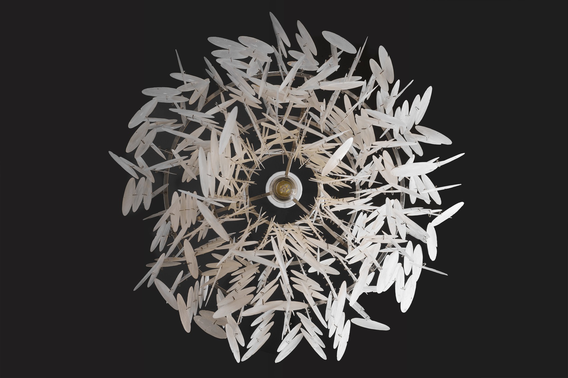 Pair of Shell Lamps image 6