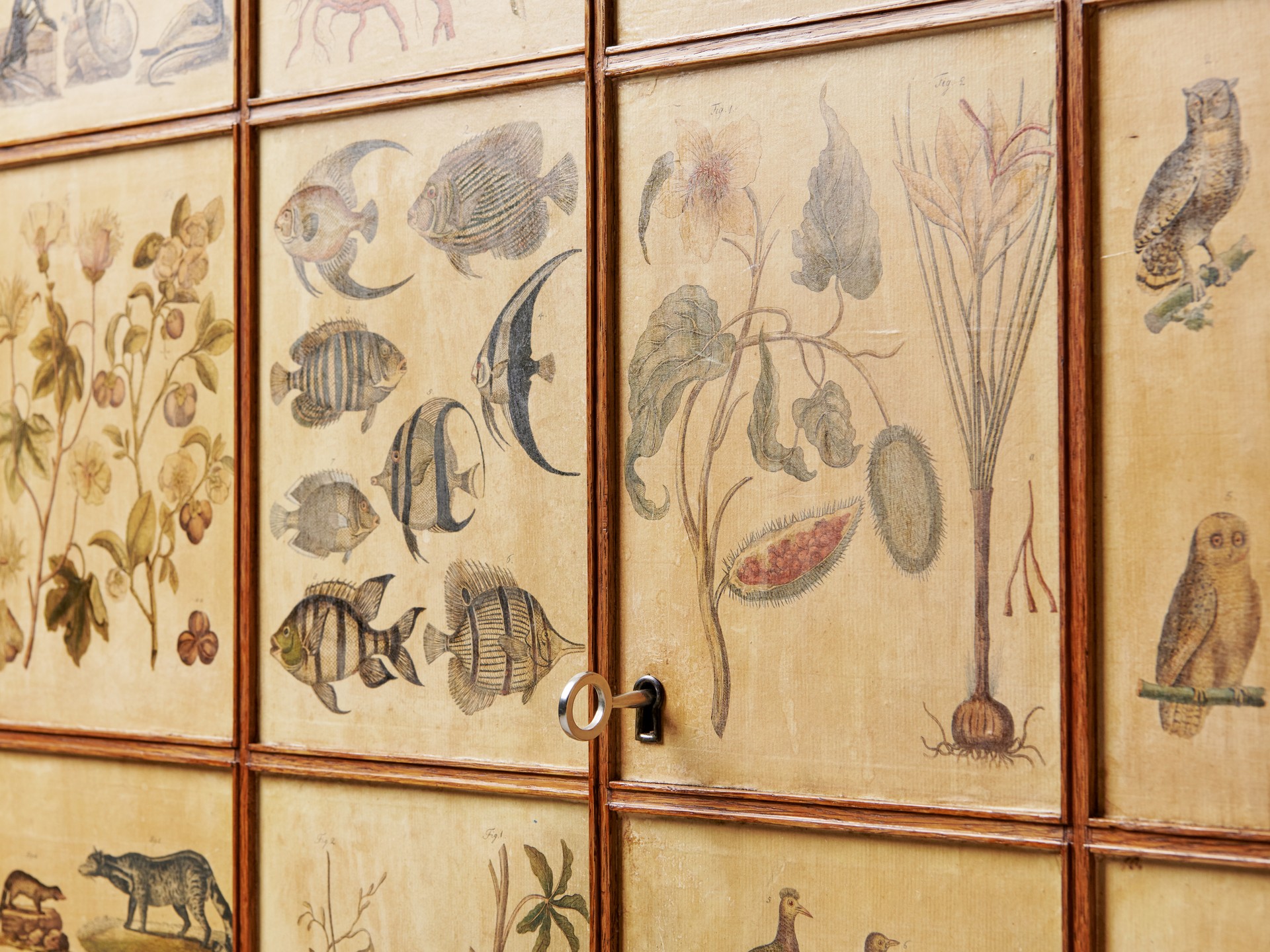 'Animal' Cabinet image 16