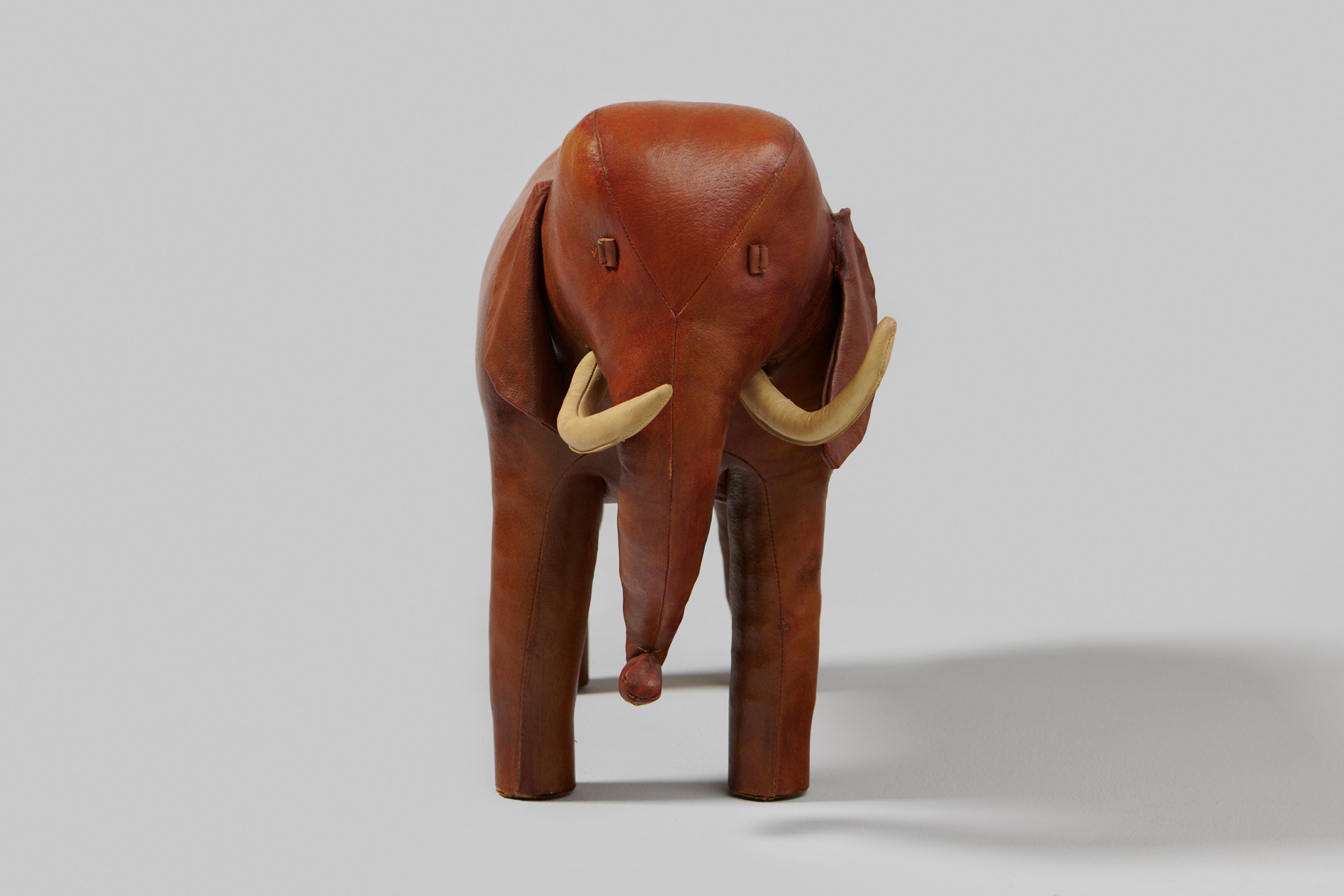 Elephant image 3