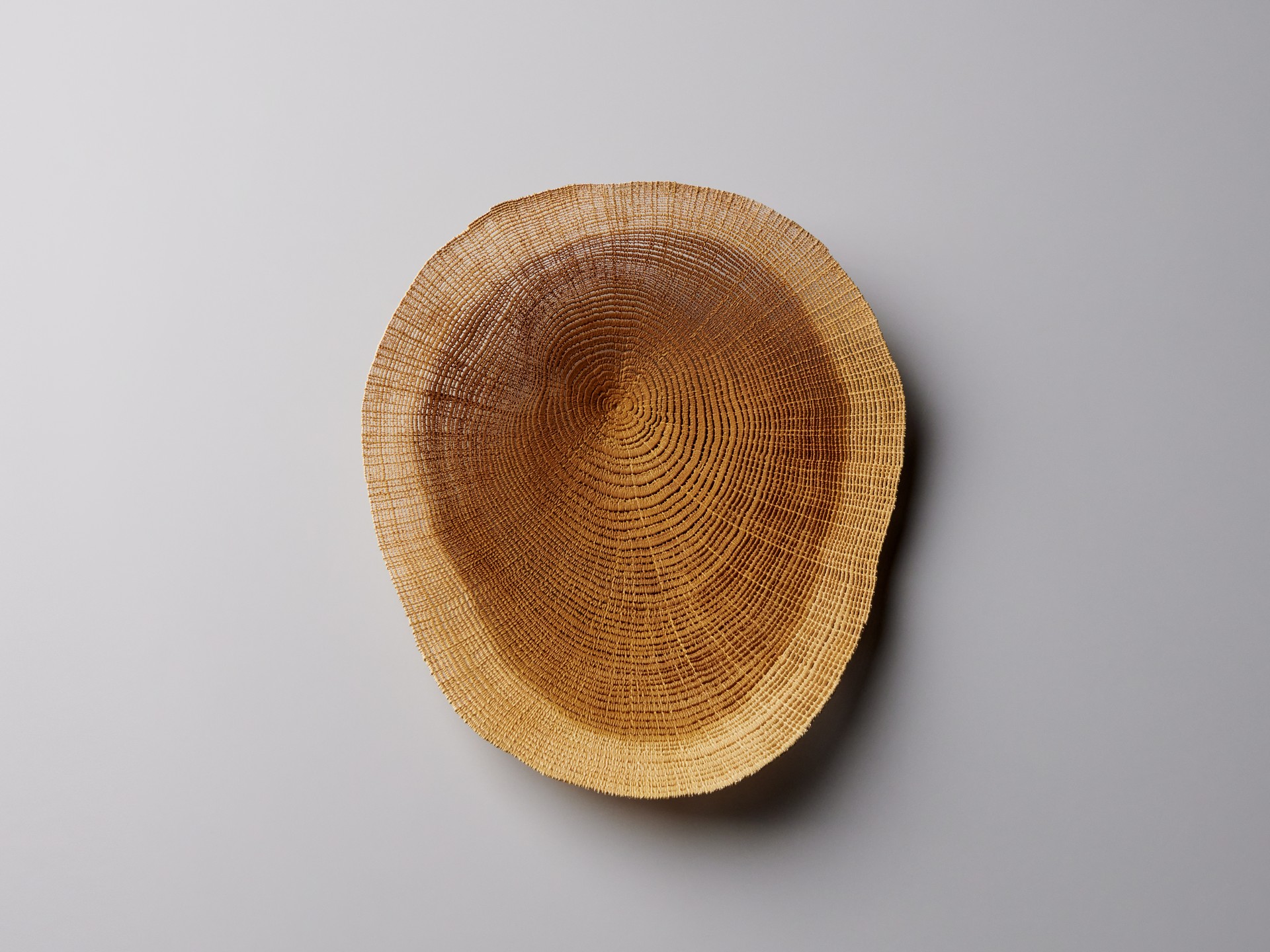 Platter