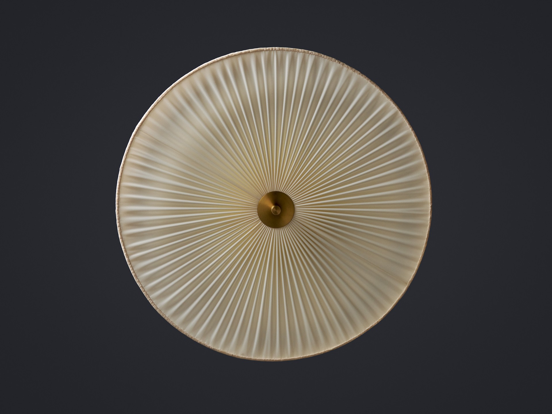 Ceiling Lamp image 3