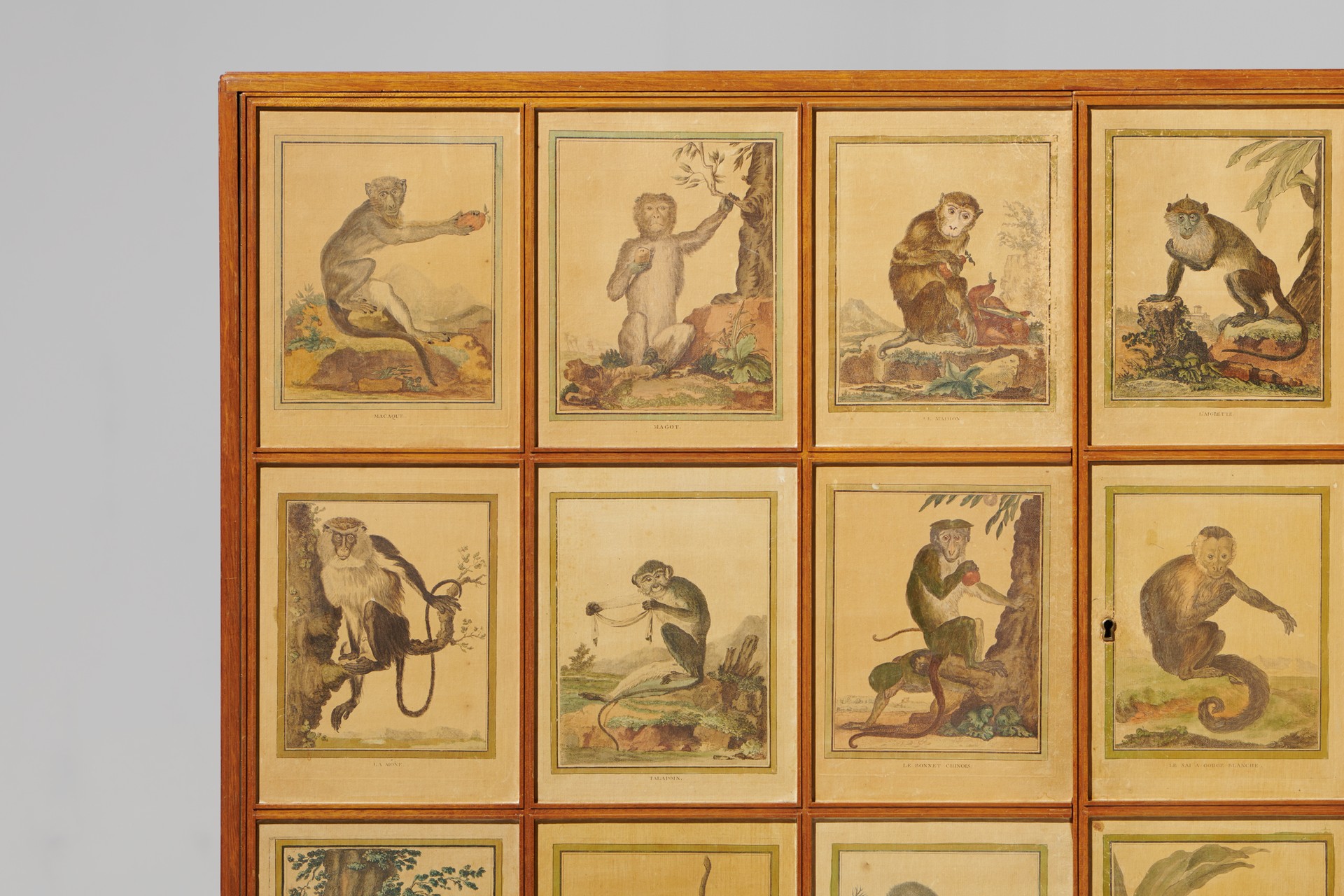 'Monkey' Cabinet image 9