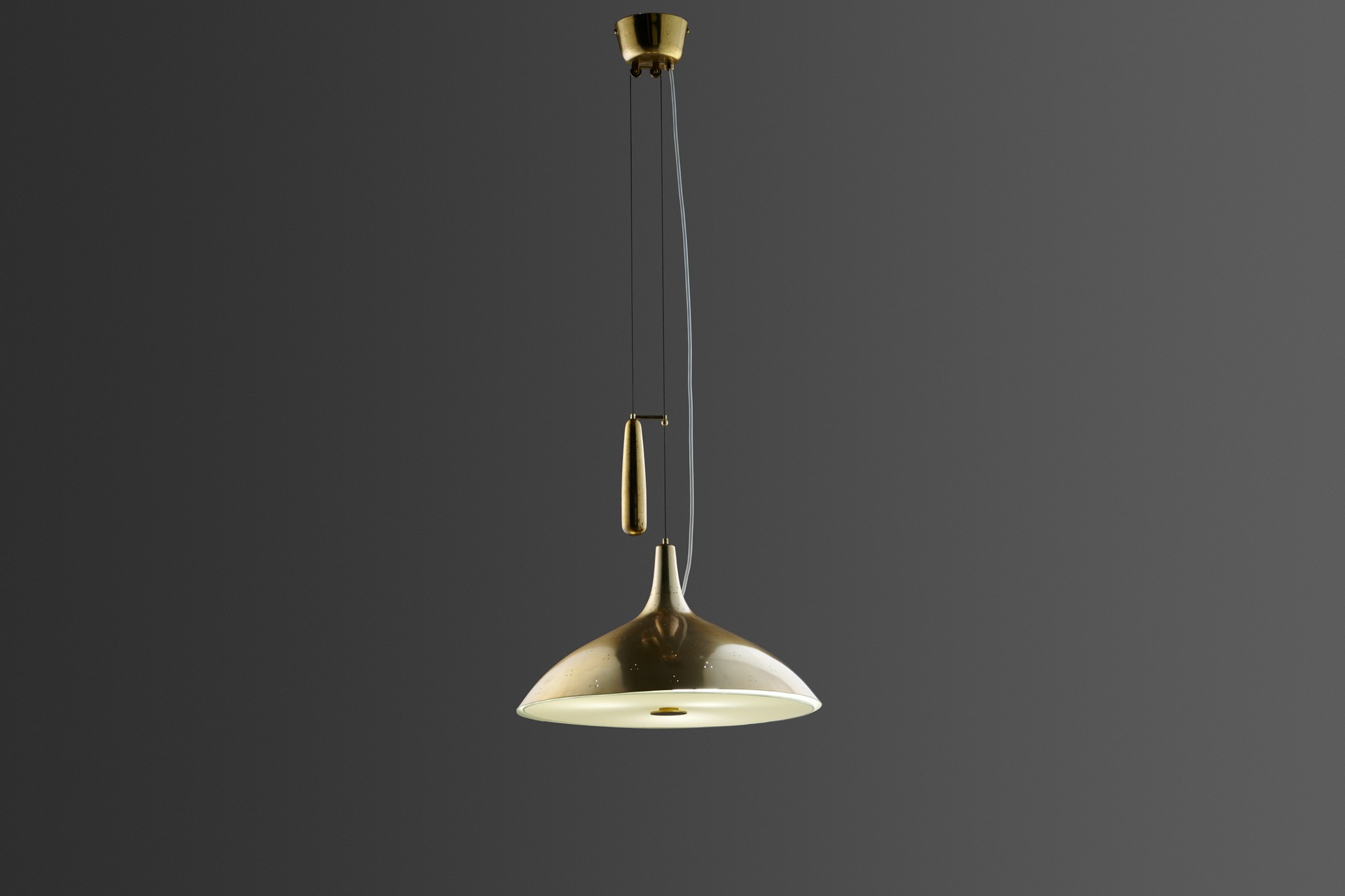 Adjustable Ceiling Light
