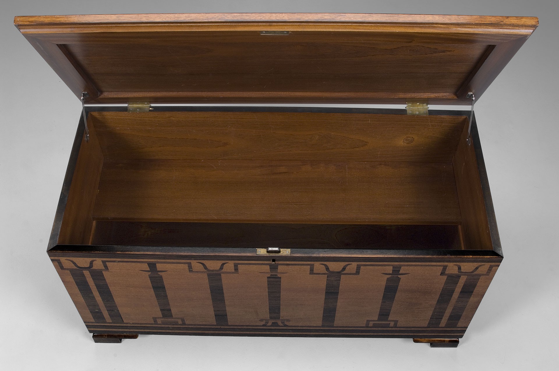 Chest image 2