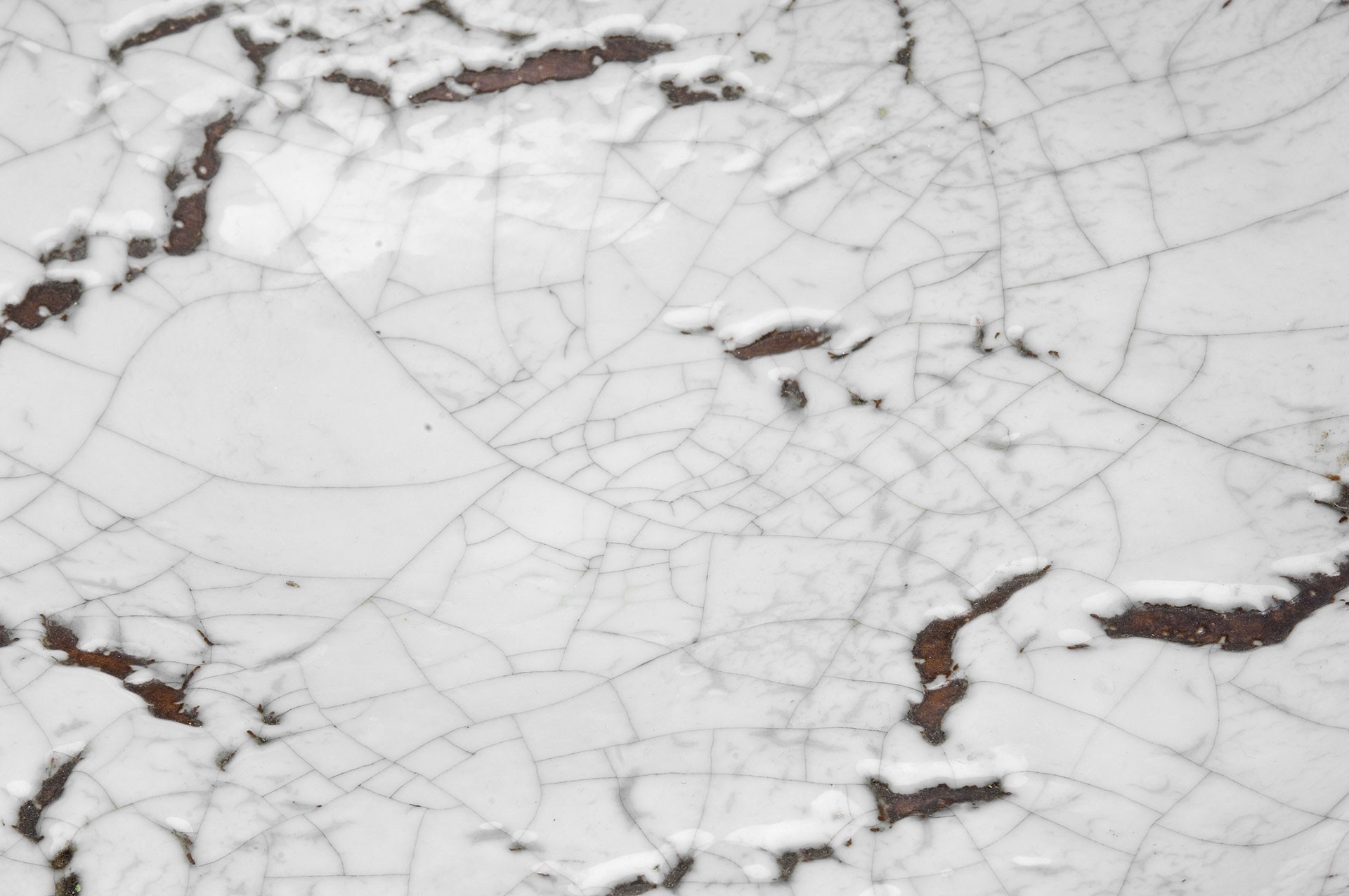 Large Plate image 3