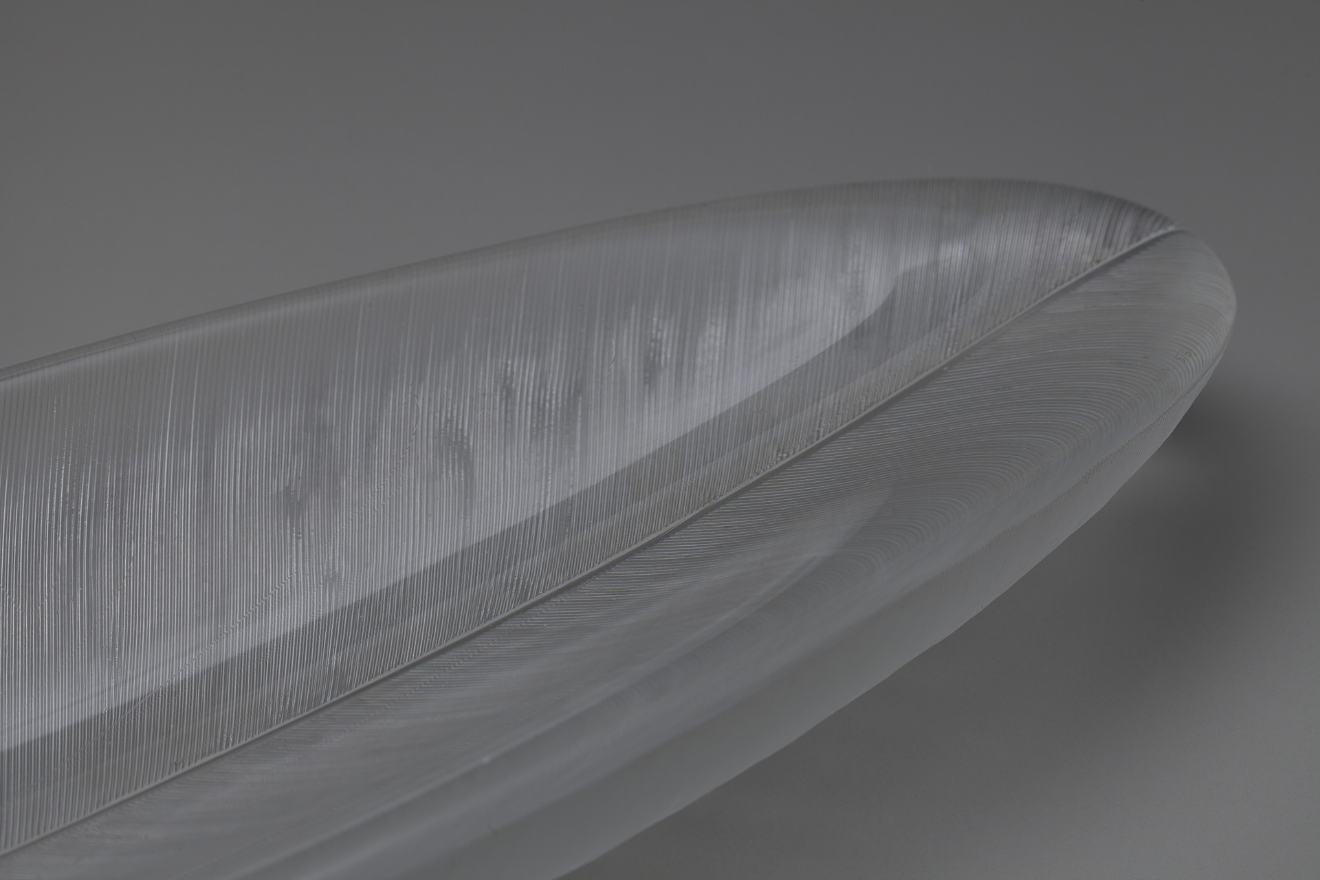 Glass Plate image 3