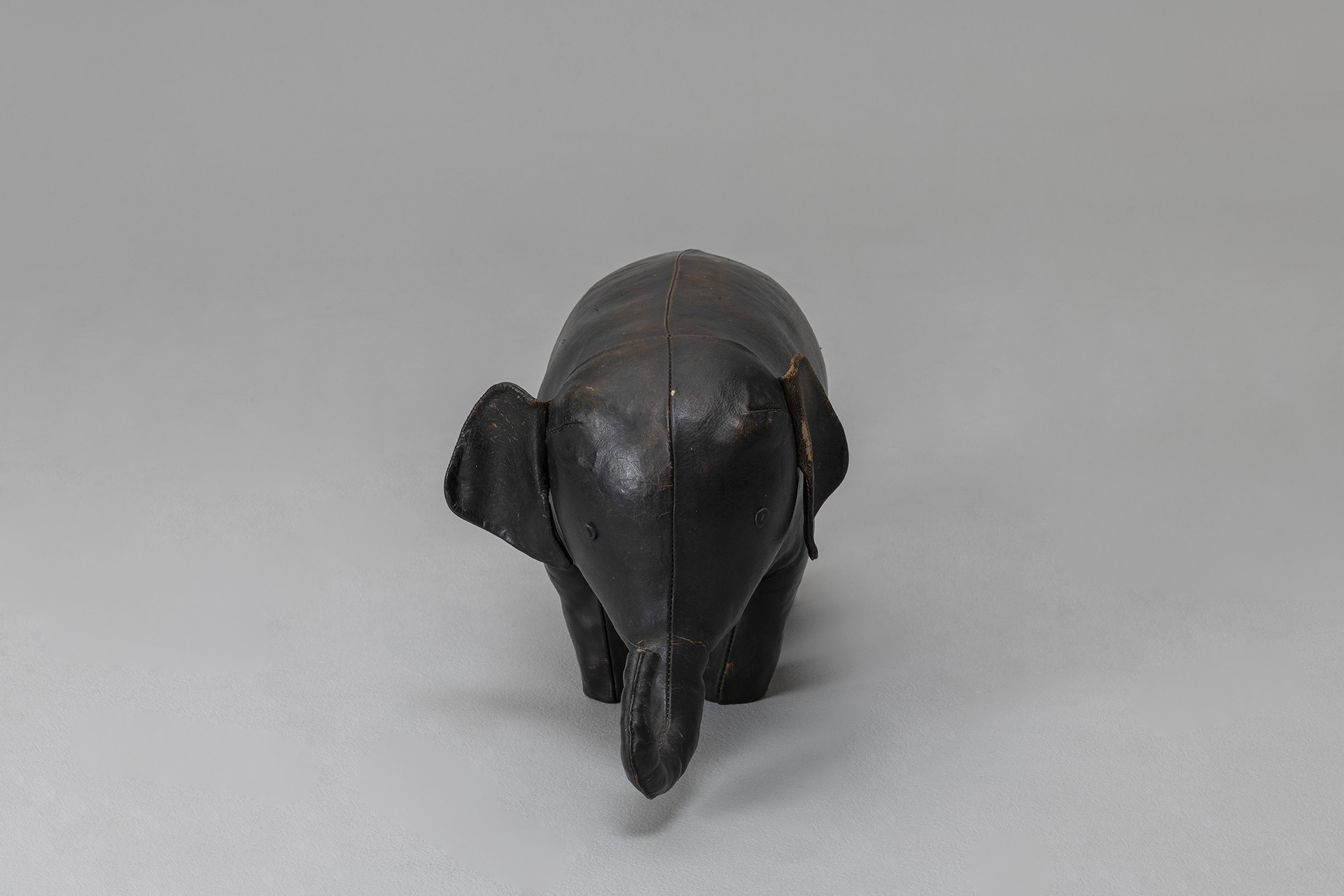 Elephant image 4