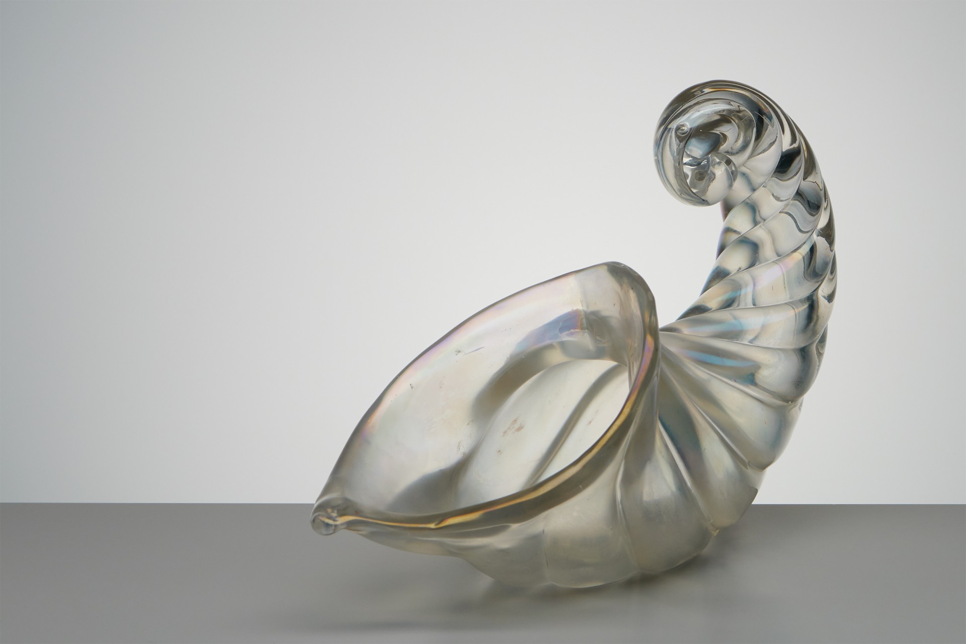 Pair of Glass Shells image 2