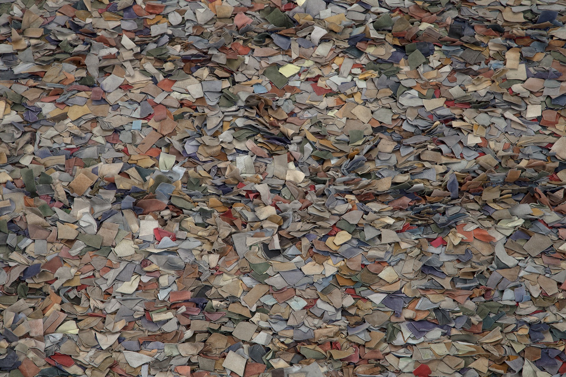 "Jockey Club" Carpet image 4