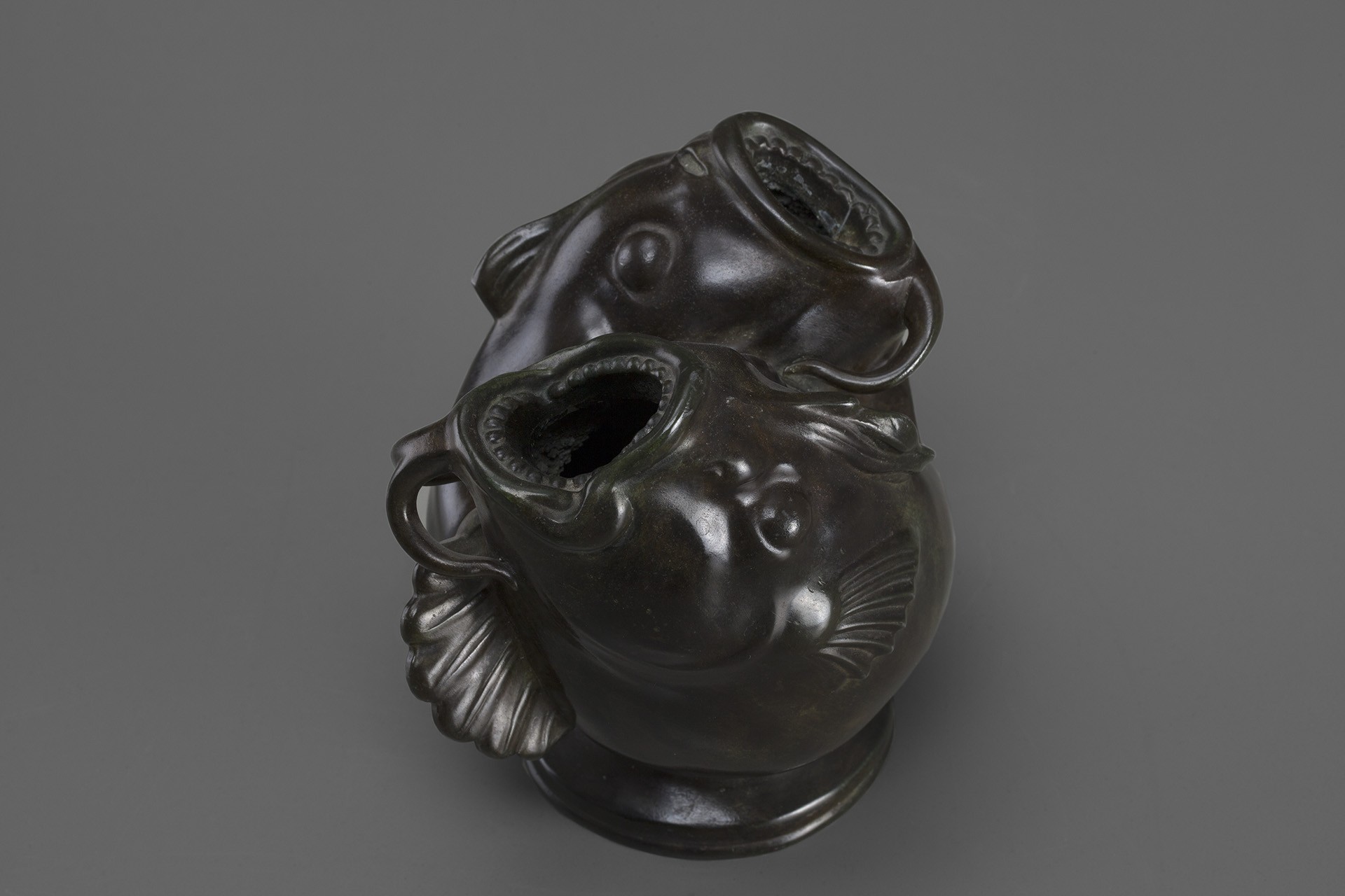 Carp image 2
