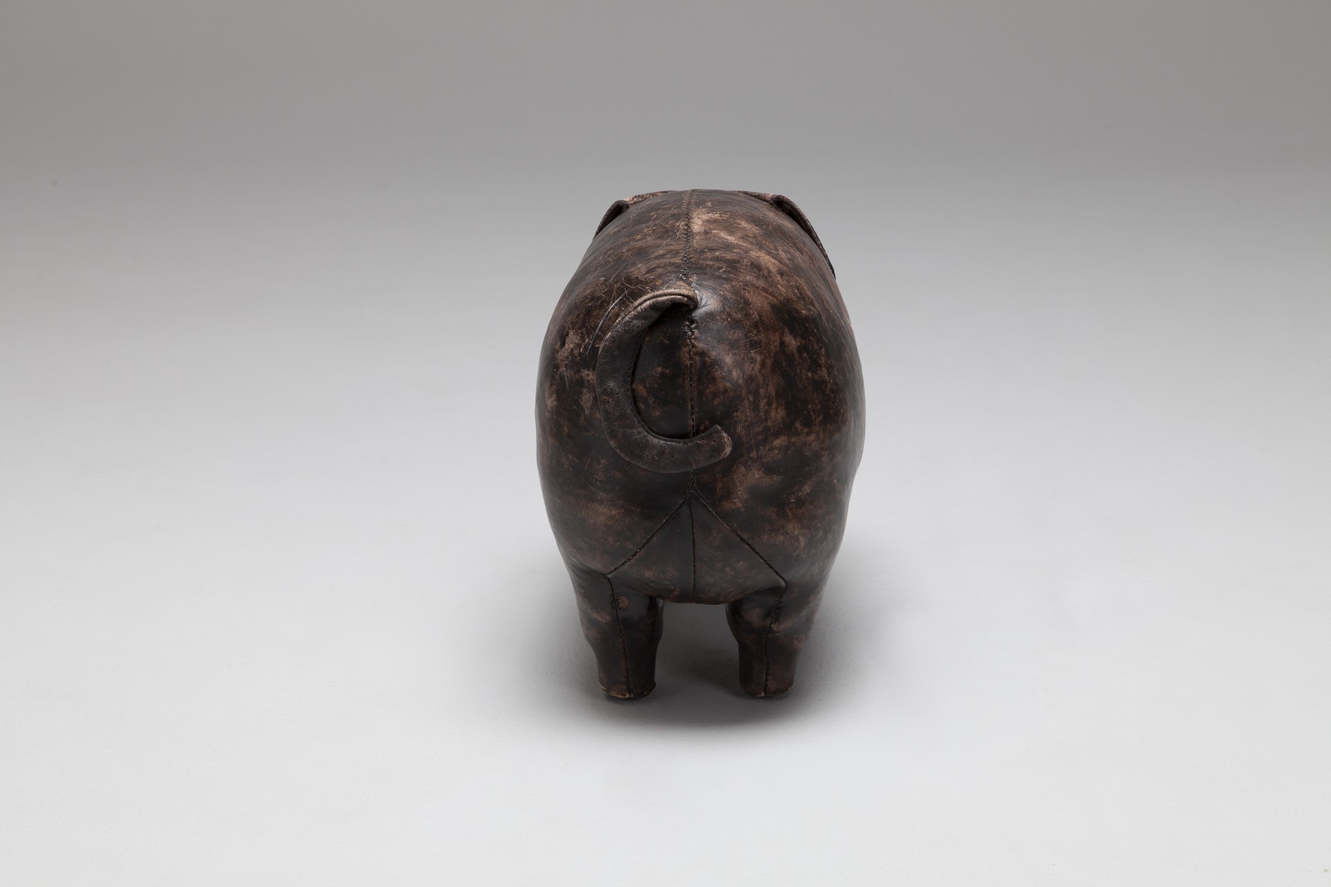 Pig image 4