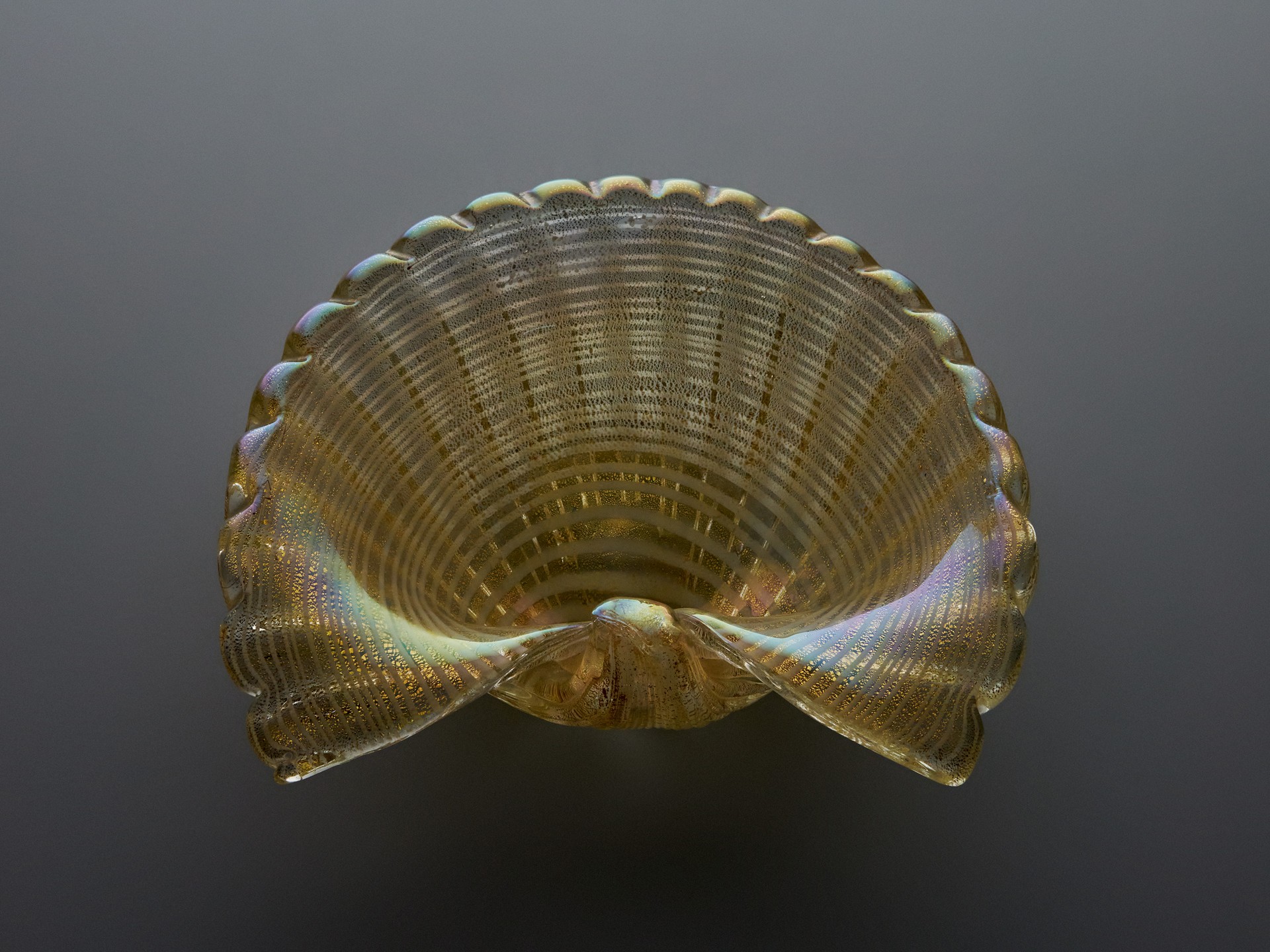 Shell Bowl image 3