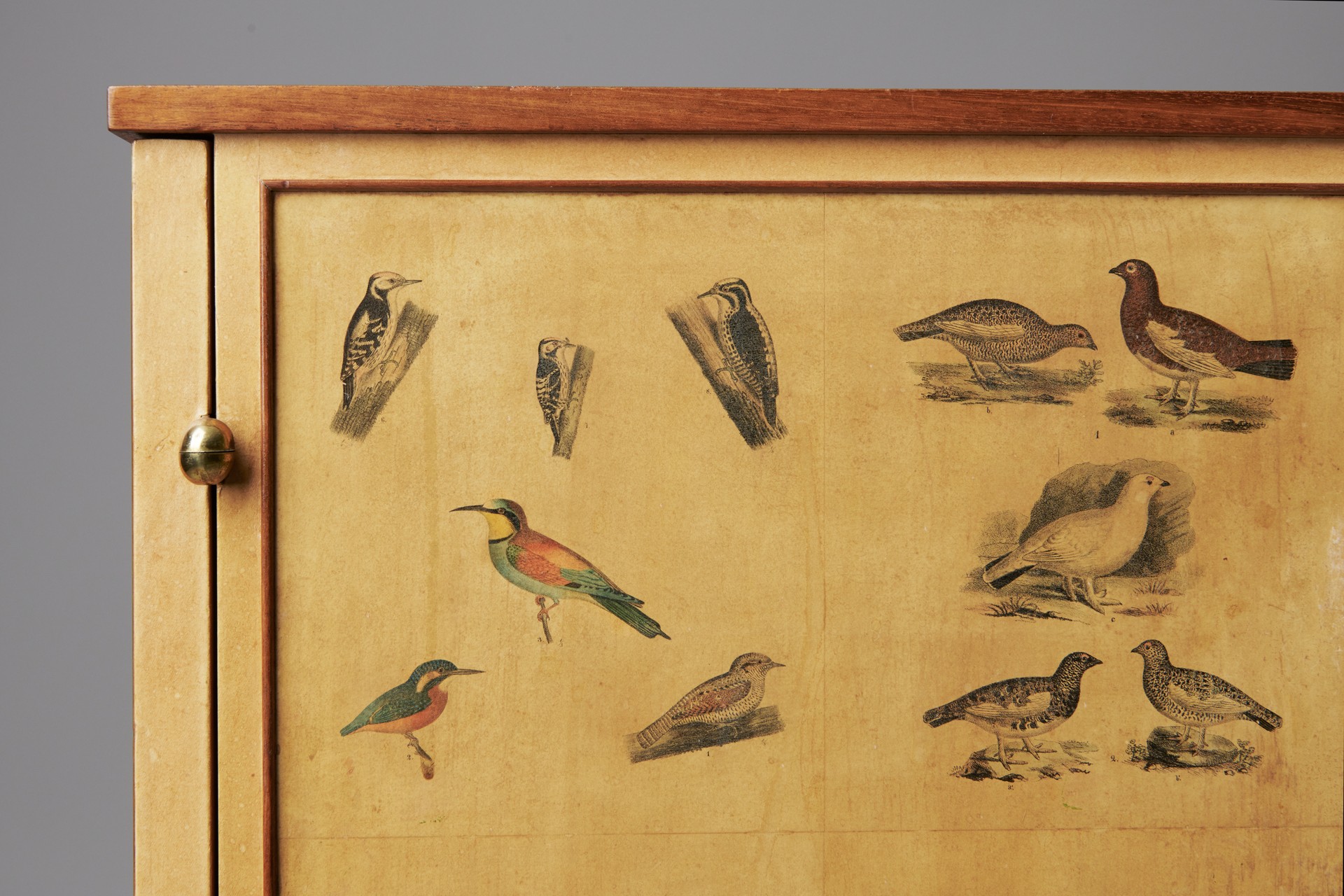 'Bird' Cabinet image 13