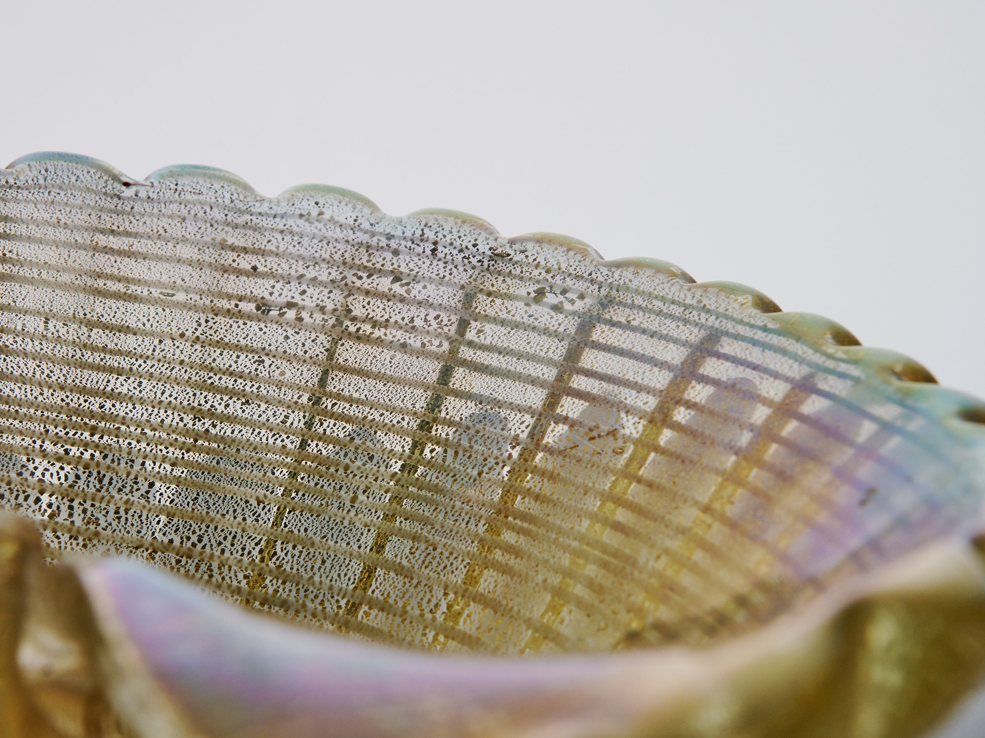 Shell Bowl image 6