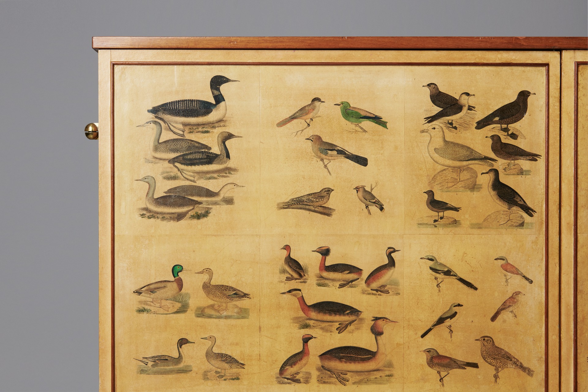 'Bird' Cabinet image 7