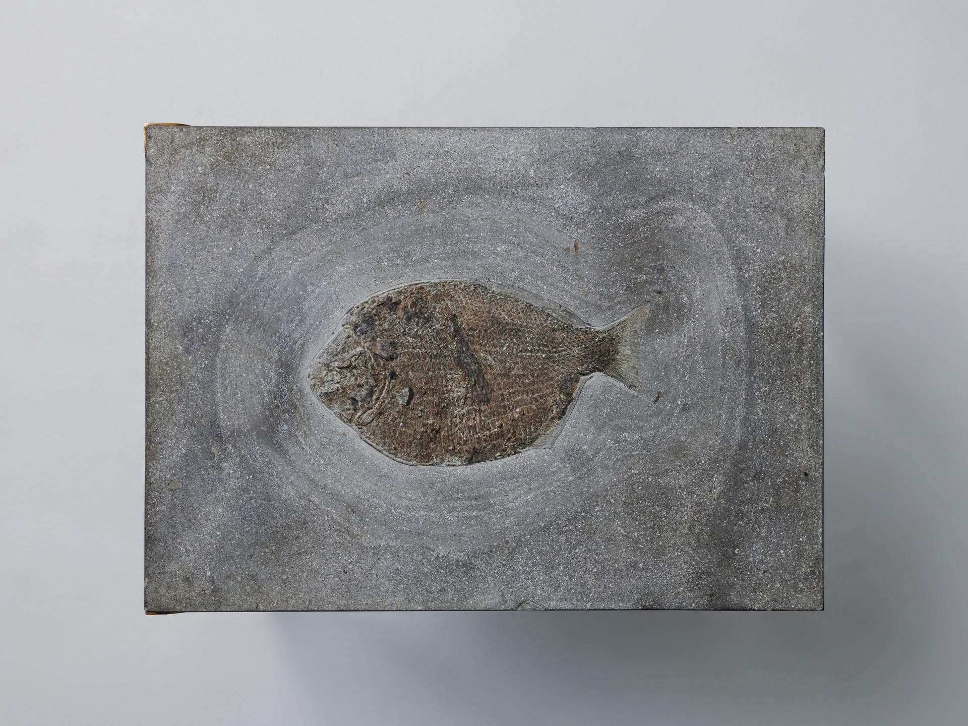 Side Table image 6