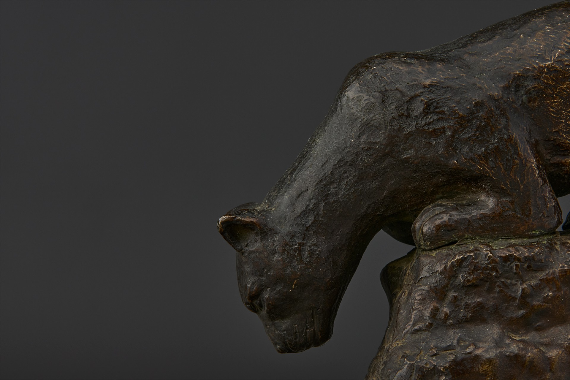Mountain Lion Sculpture image 4