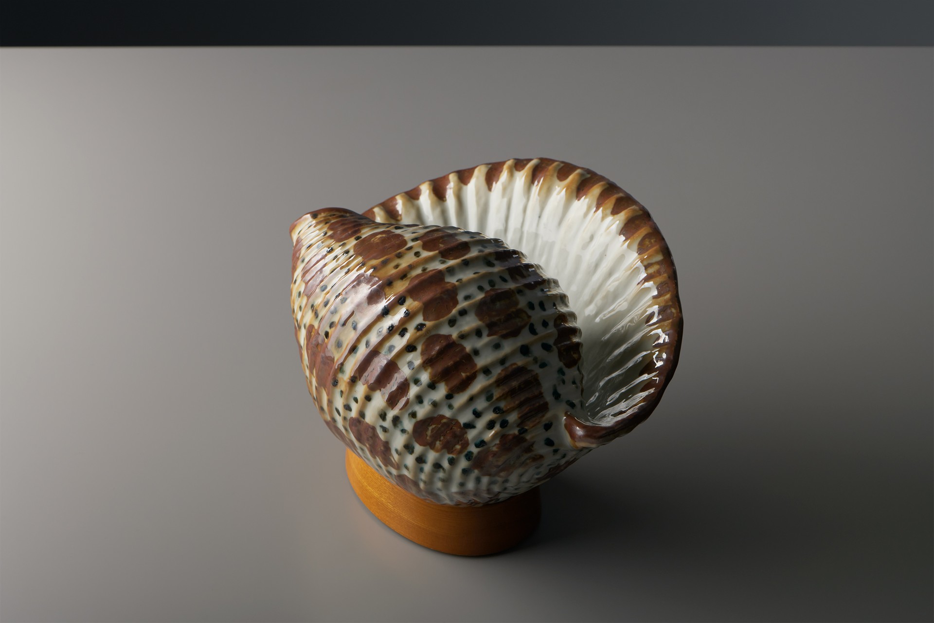 Shell Sculpture image 3