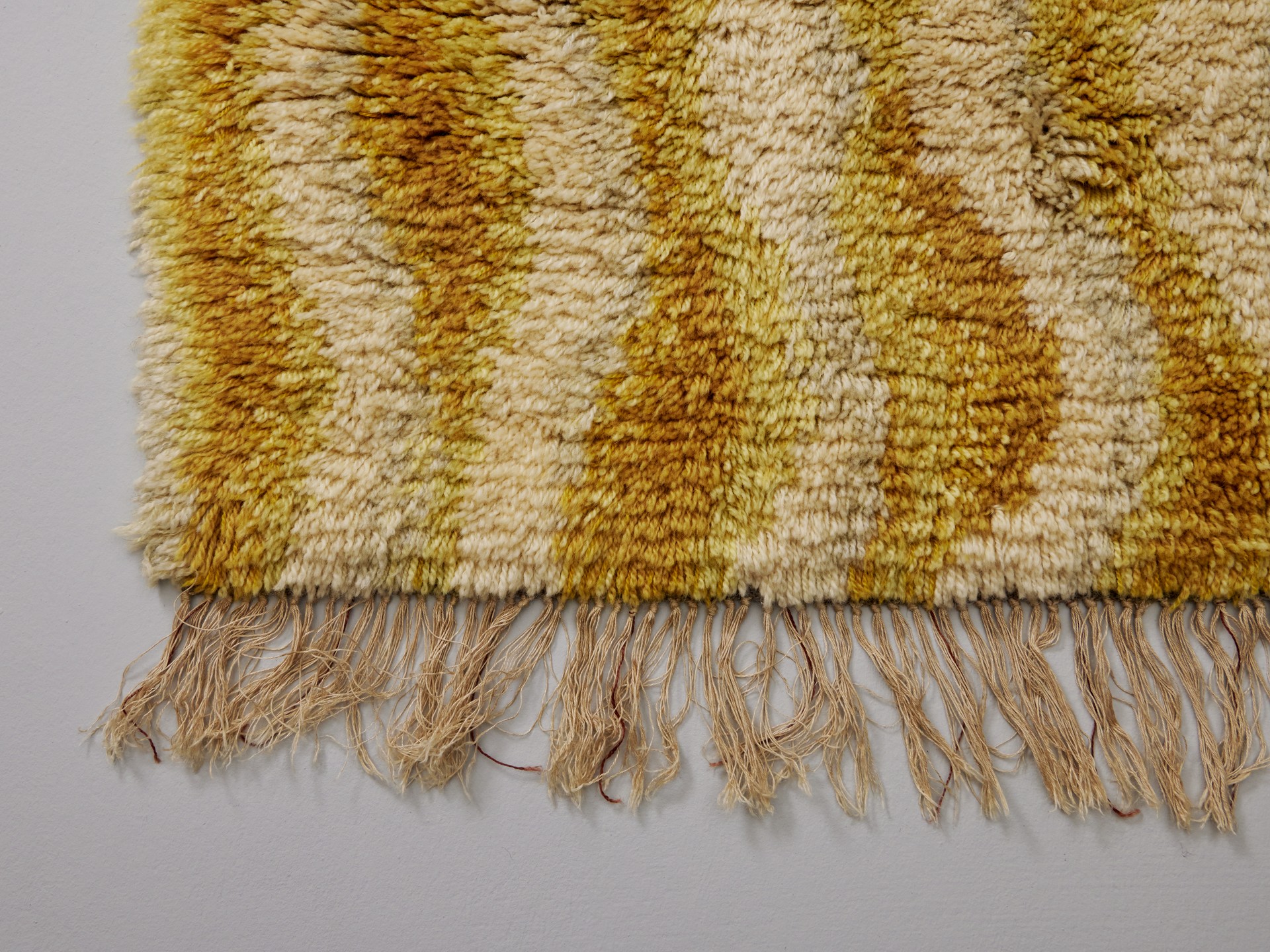 Carpet image 6