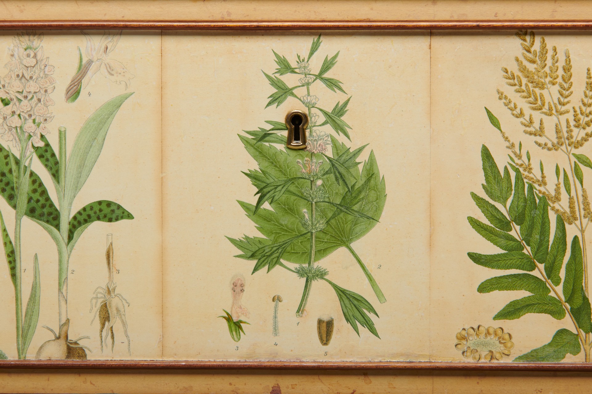 'Flora' Cabinet, Model no. 1050 image 5