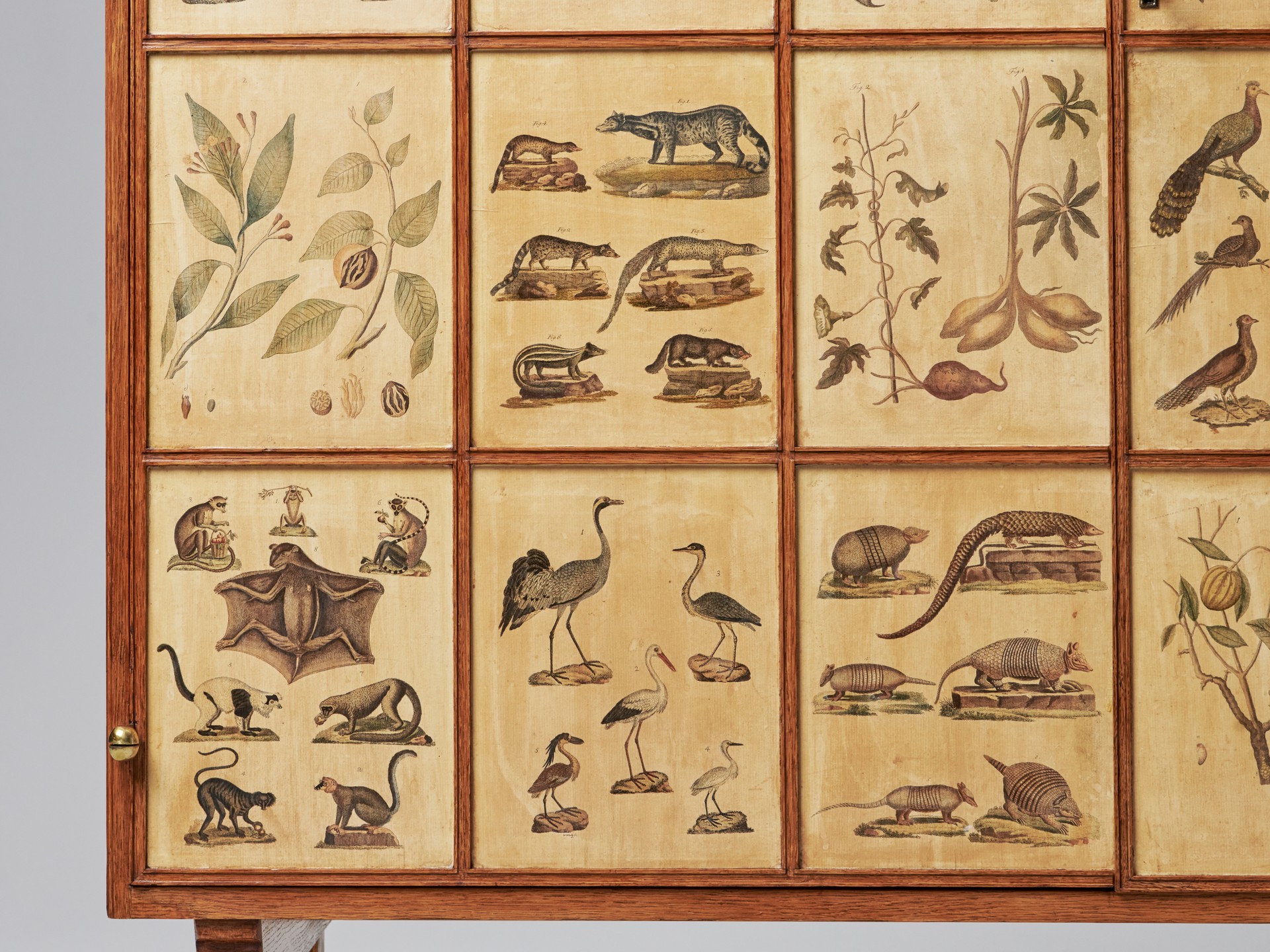 'Animal' Cabinet image 15