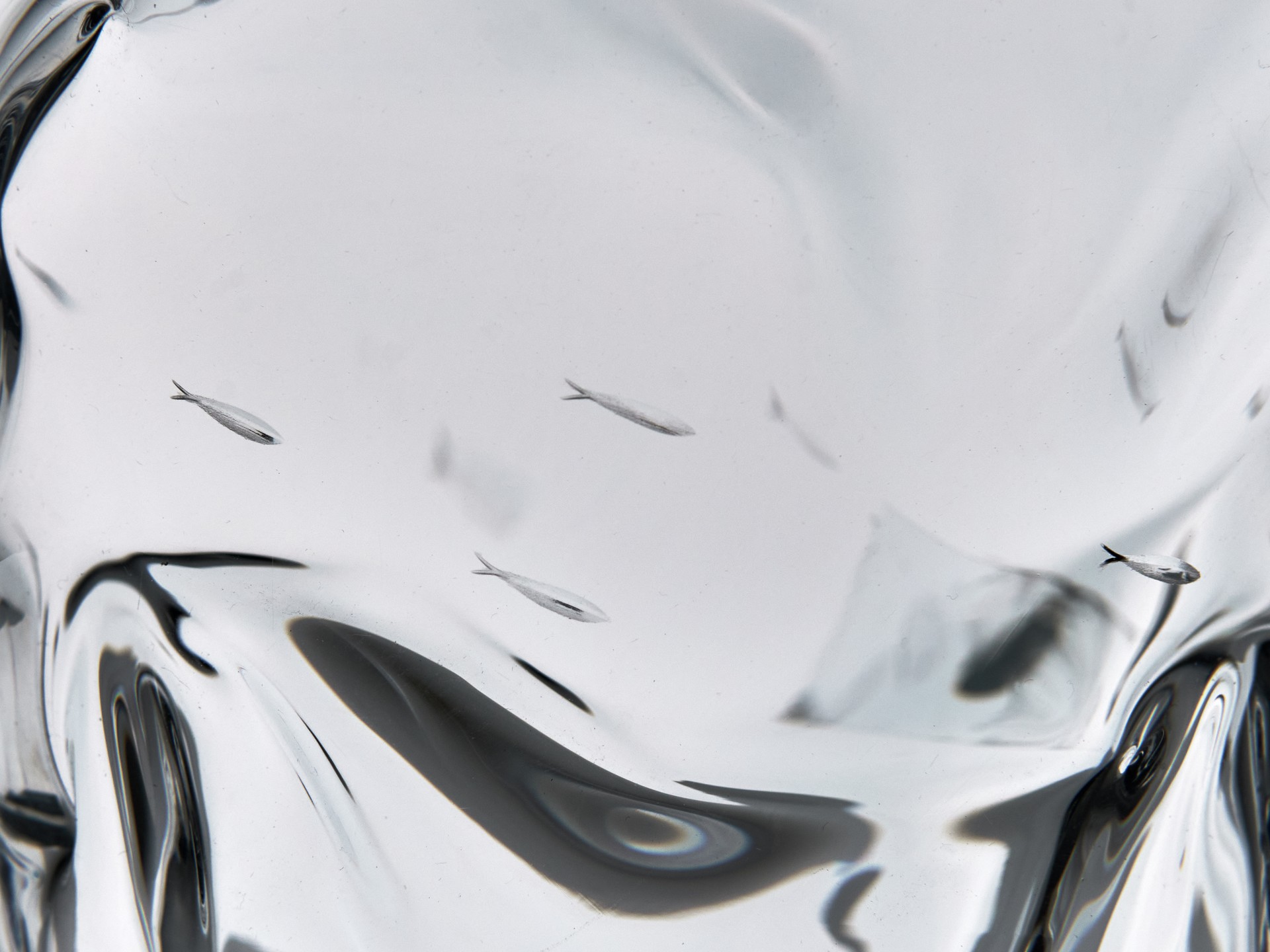 Vase image 5