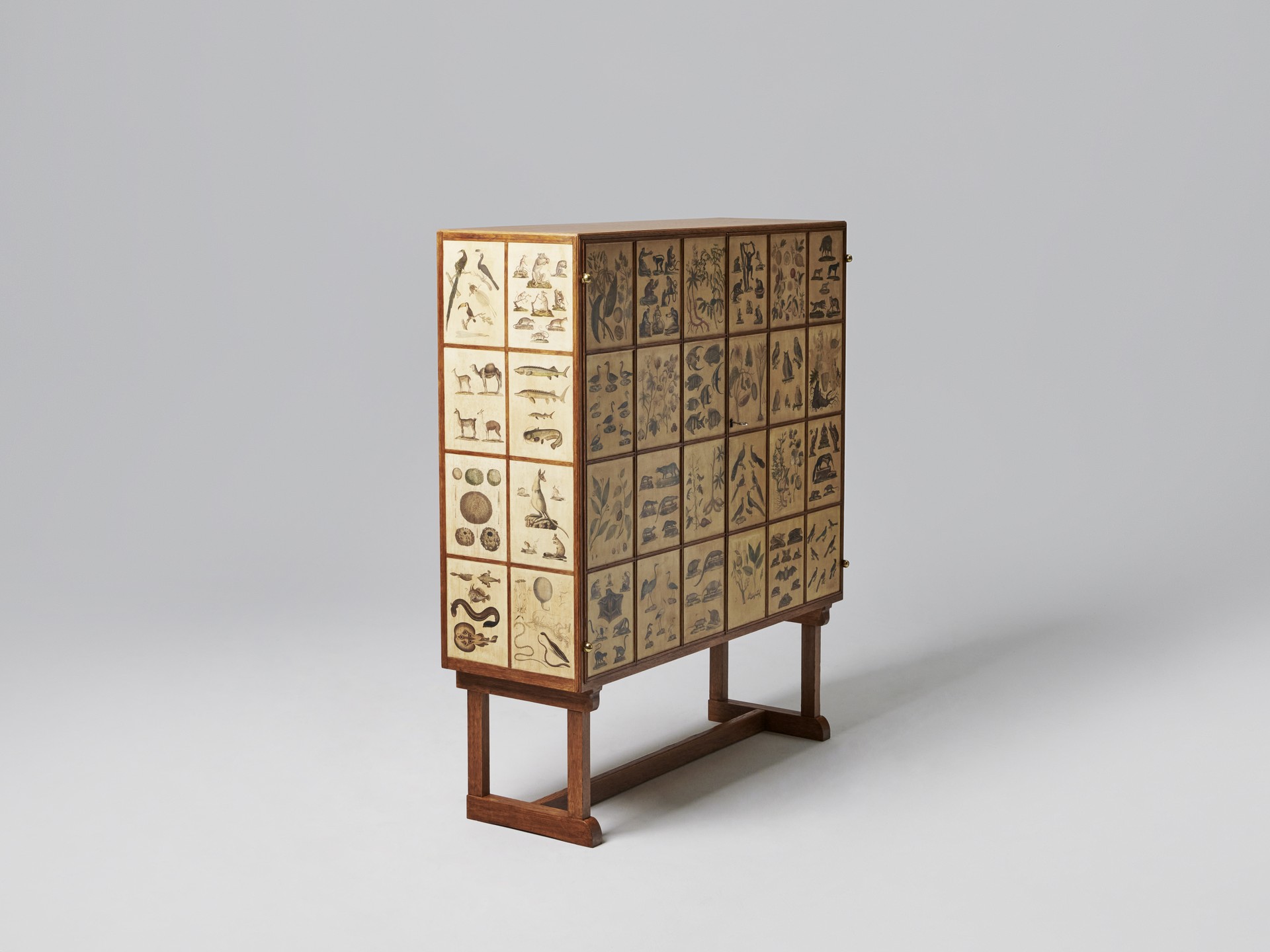 'Animal' Cabinet image 3