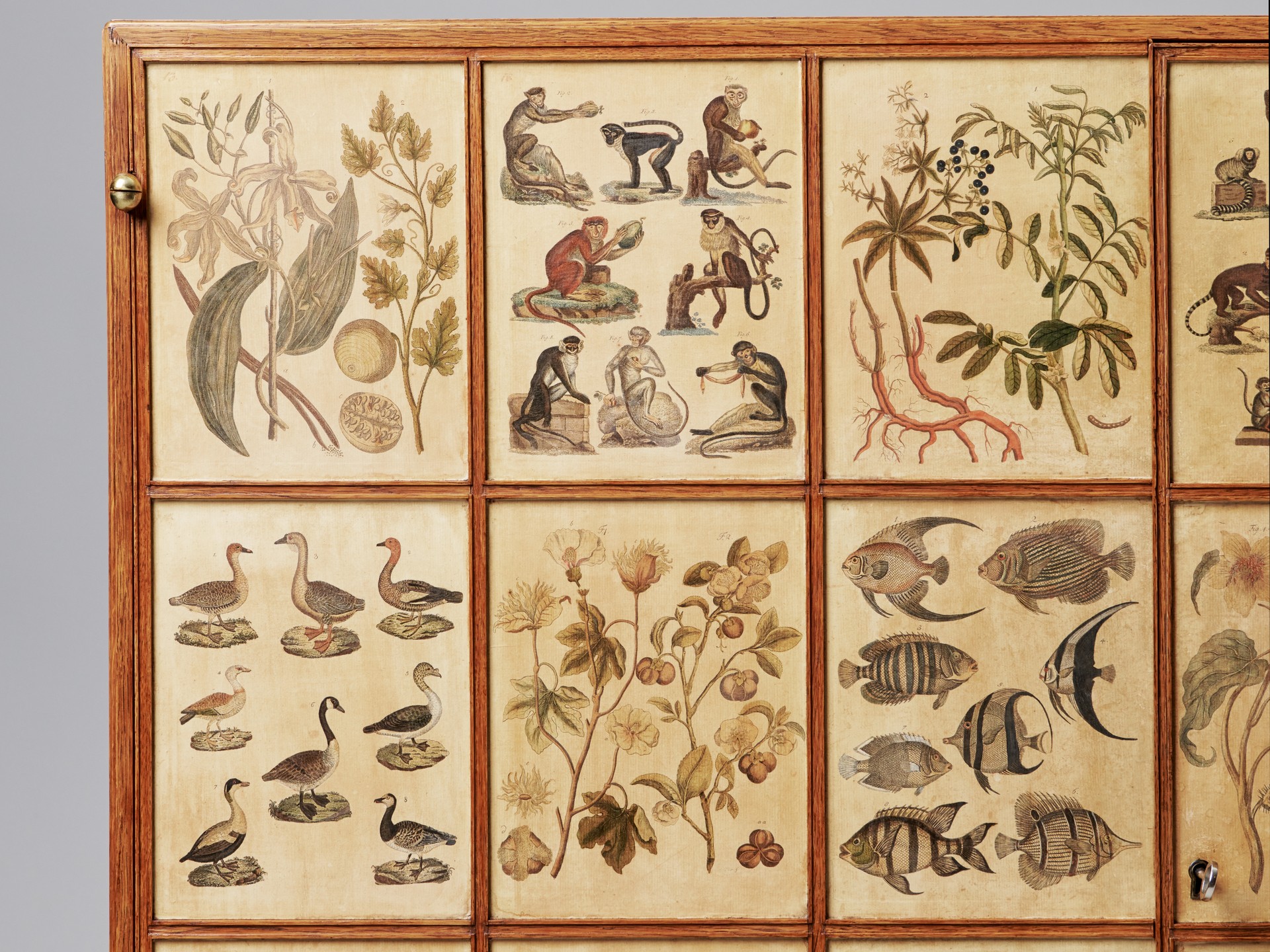 'Animal' Cabinet image 14