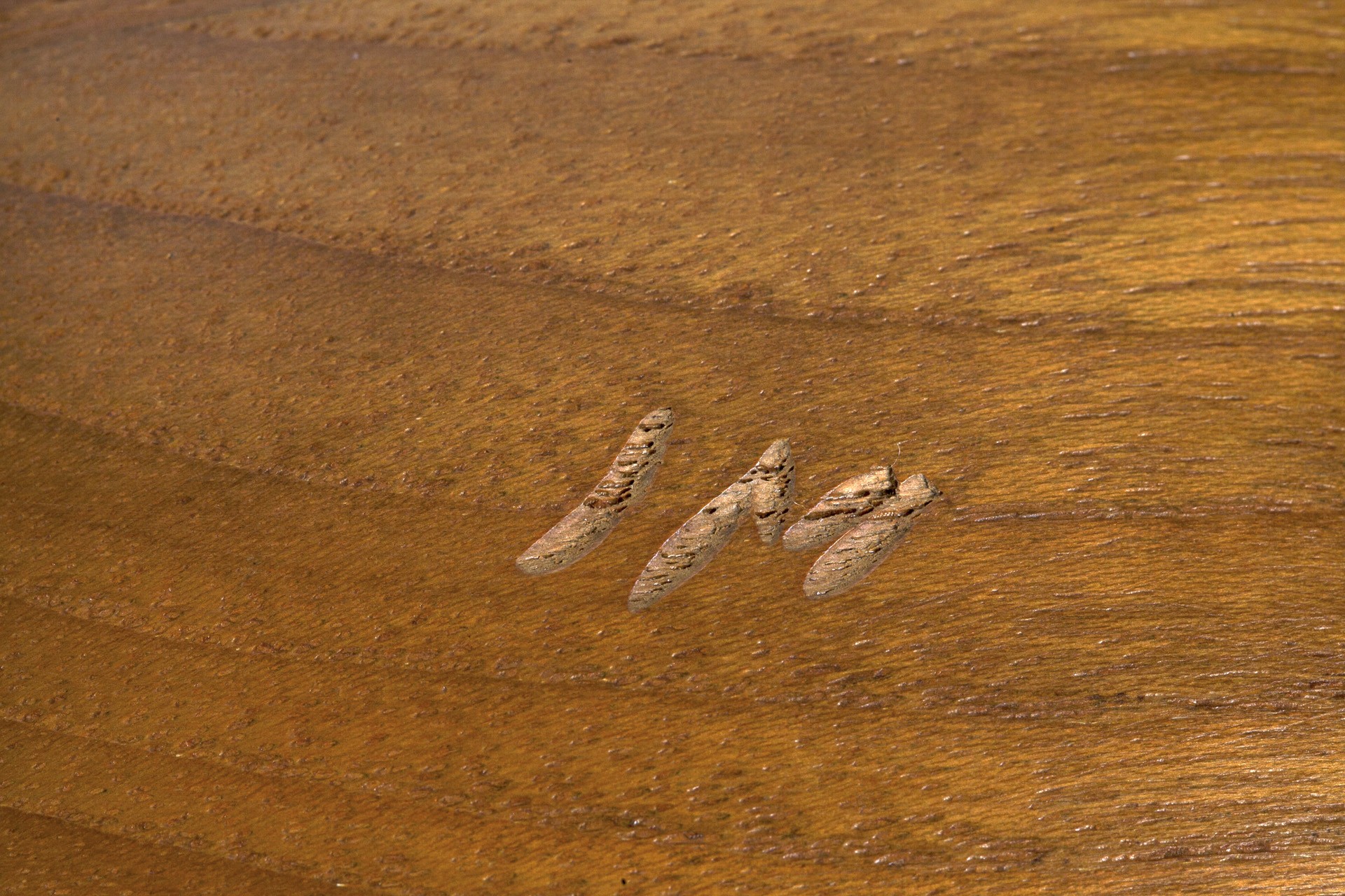 Bowl image 4