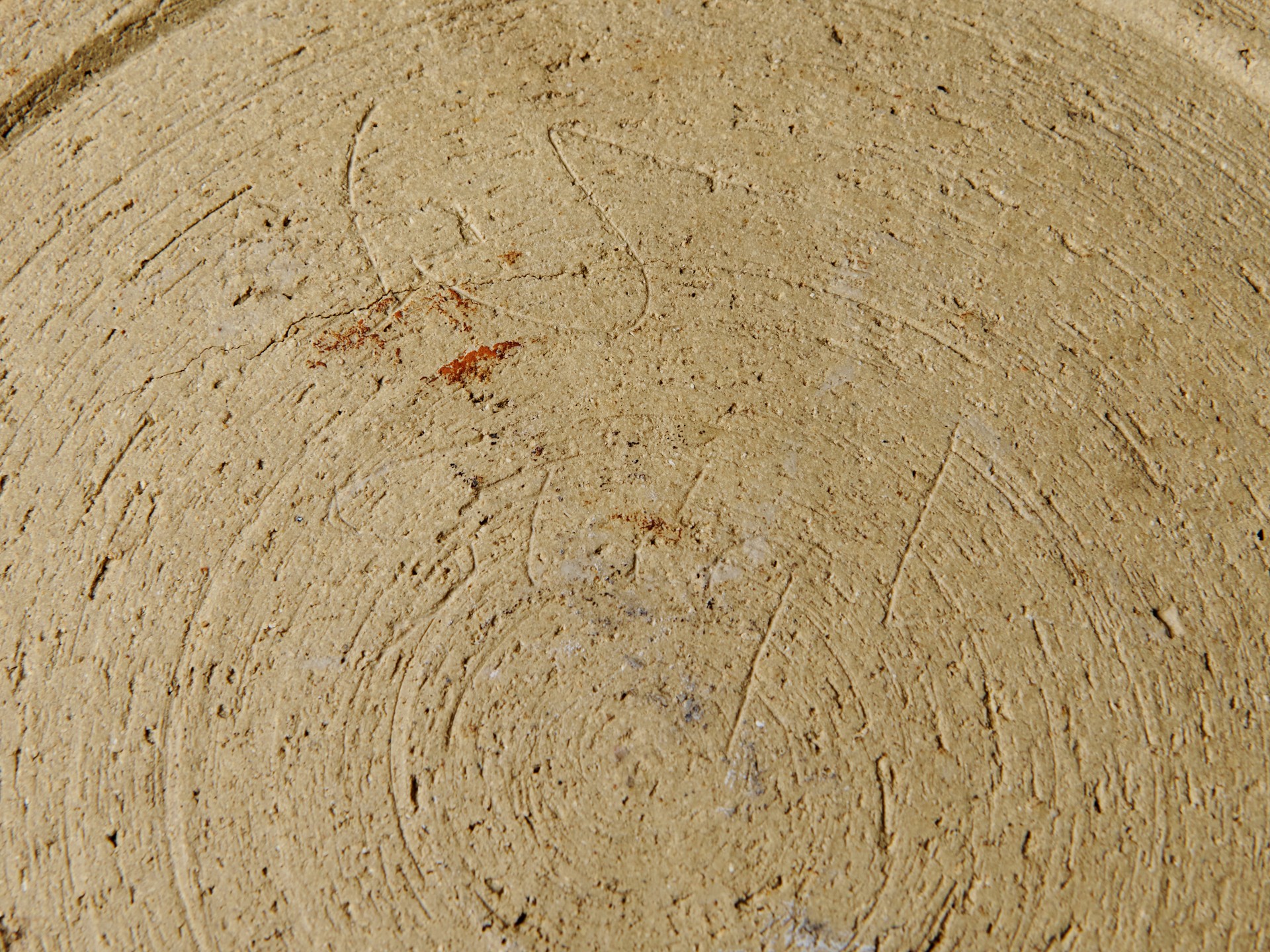 Large Bowl image 6