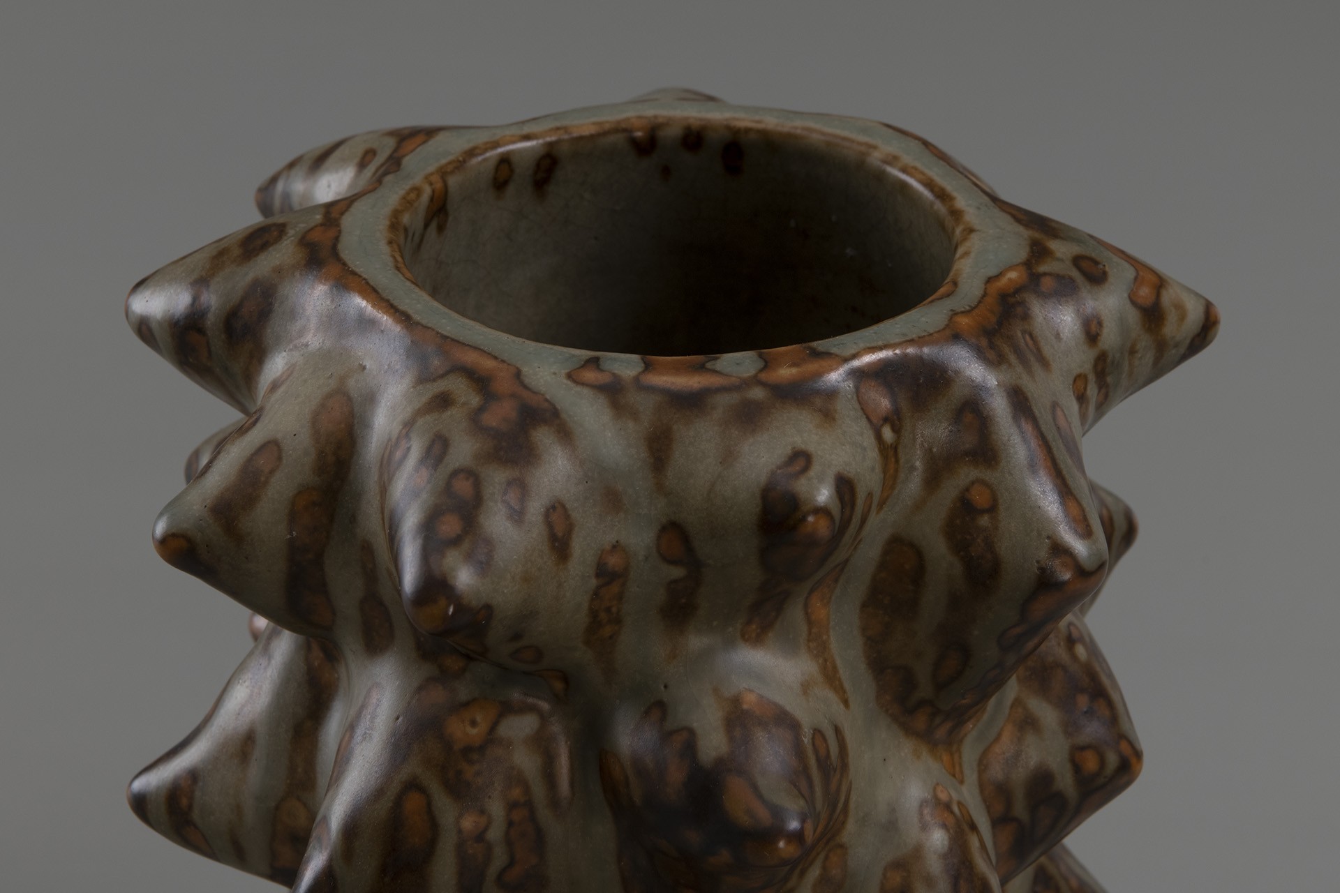 'Sprouting' Vase image 4